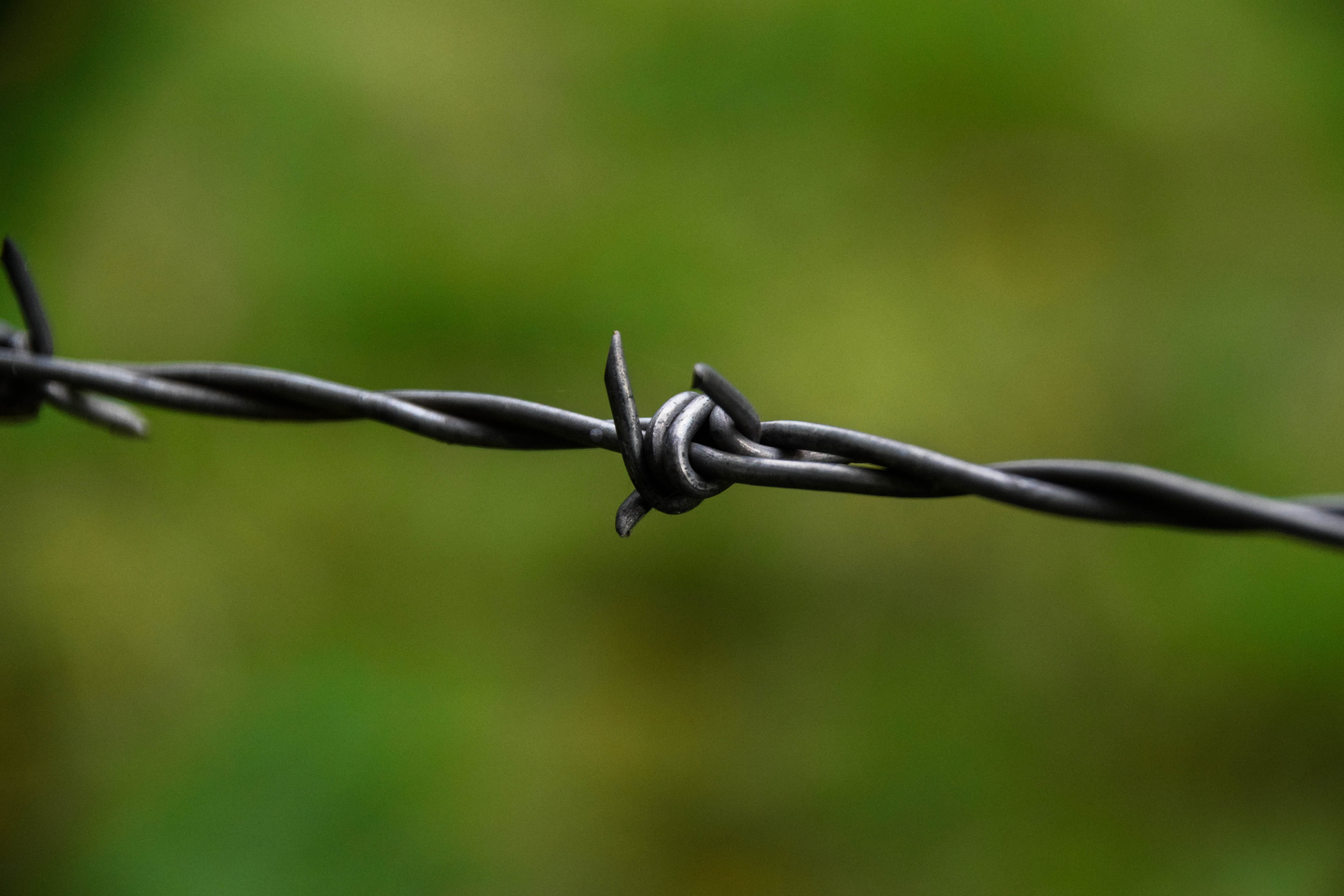 barrier, warning sign, pointed, no people, security, focus on foreground, border, selective focus, safety, wire fence, outdoors, prickly, close-up, exclusion, HD Wallpaper