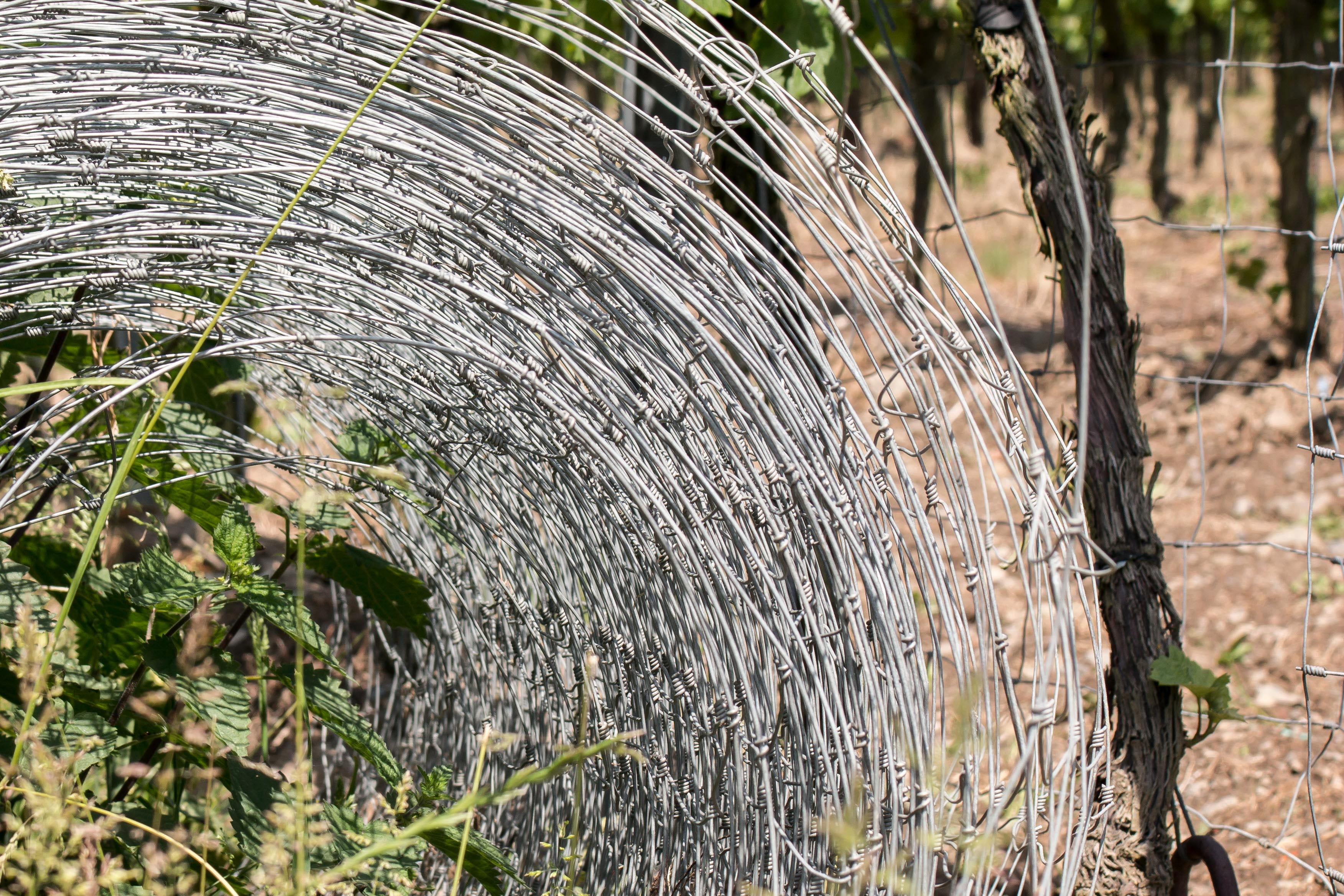 wood - material, protection, fence off, water, growth, field, tree trunk, no people, 2K, wire mesh fence, fencing, focus on foreground, spraying, wire, HD Wallpaper