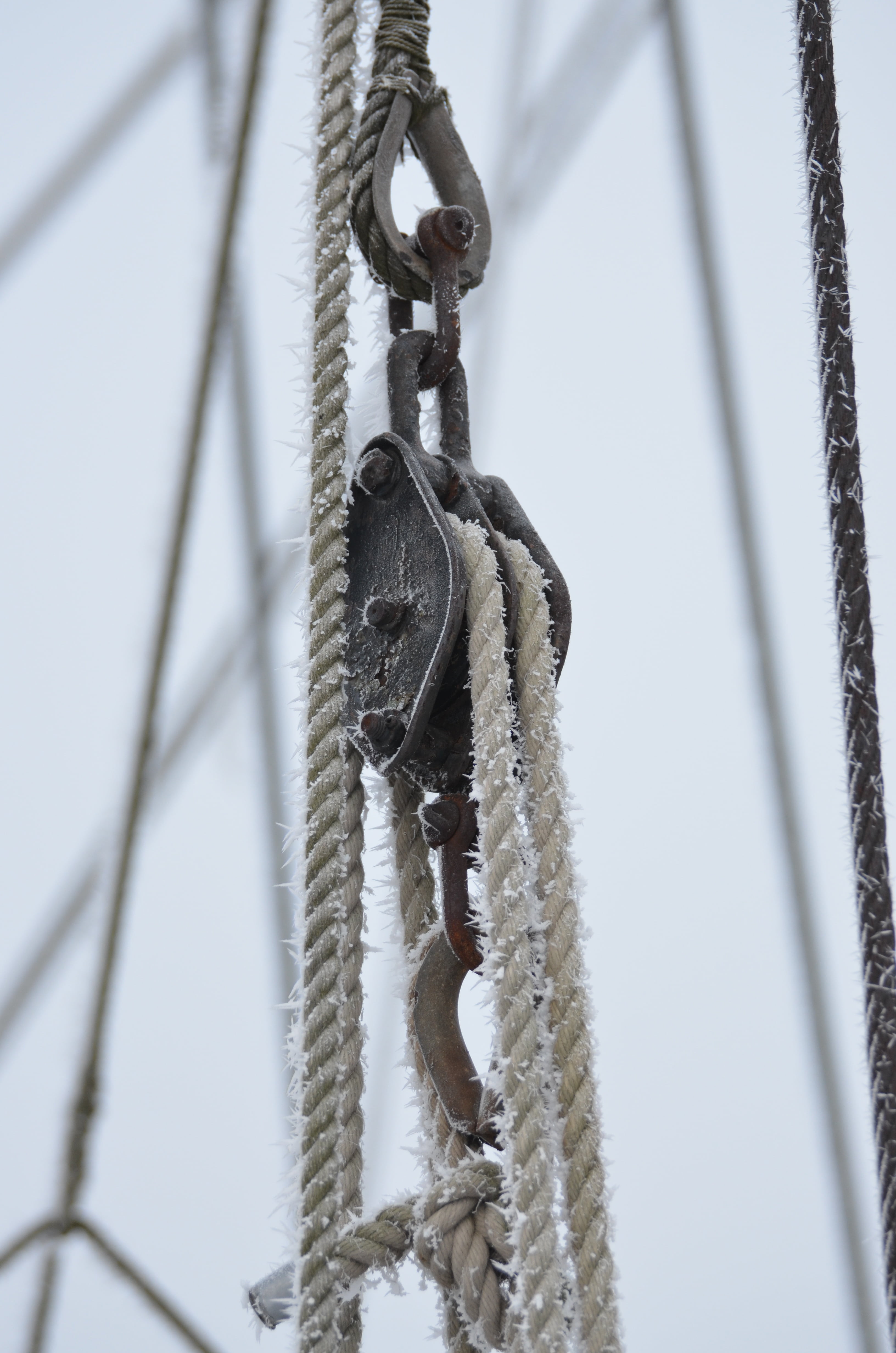 4K, white color, close-up, cold temperature, woven, knitting, winter, rigging, safety, strength, outdoors, hanging, selective focus, shipping, cordage, Phone HD Wallpaper