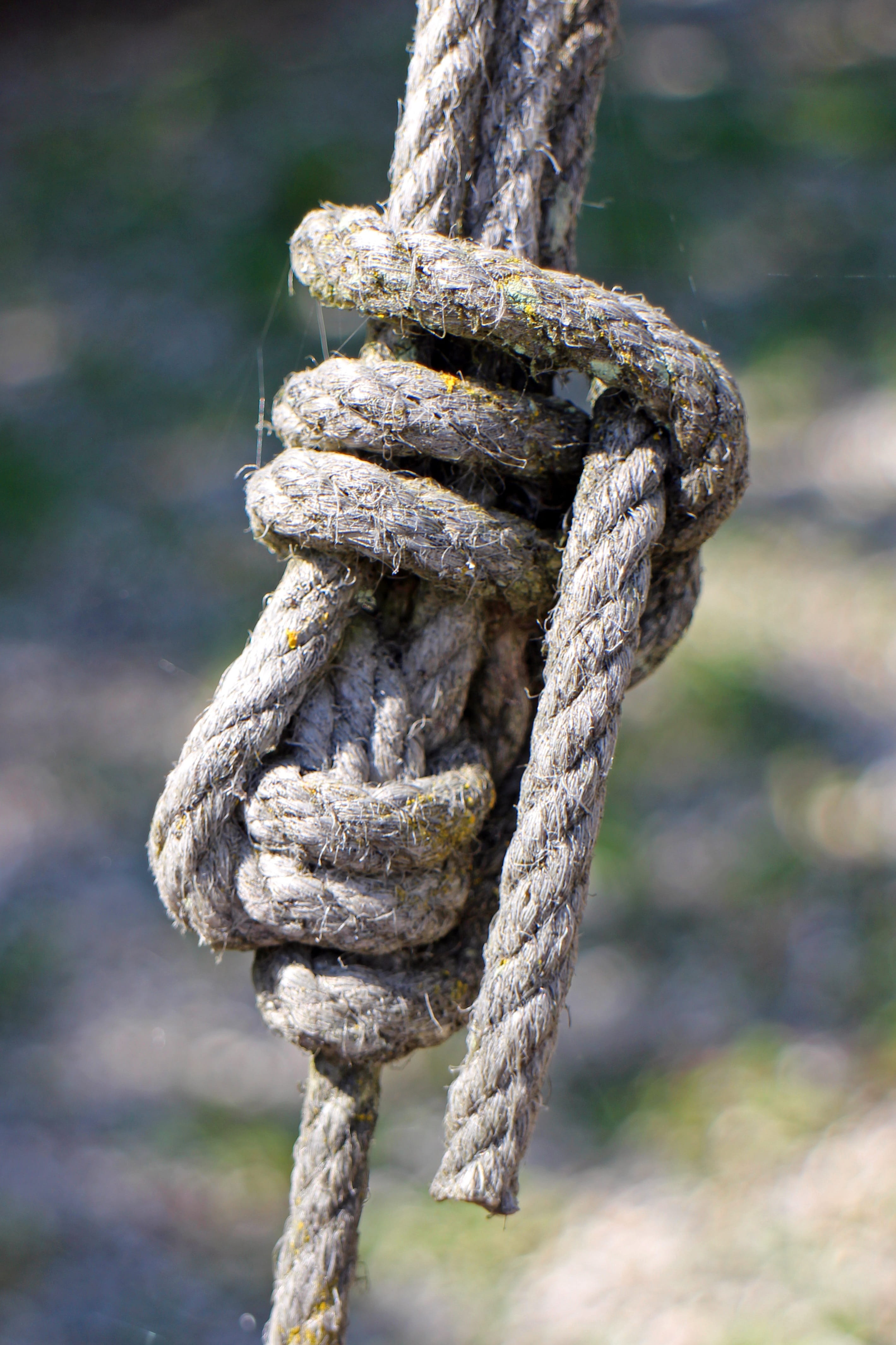 metal, tied knot, focus, leash, ship traffic jams, 4K, nature, Thaw, close-up, tied up, photography, durability, node set, strength, twisted, focus on foreground, Phone HD Wallpaper