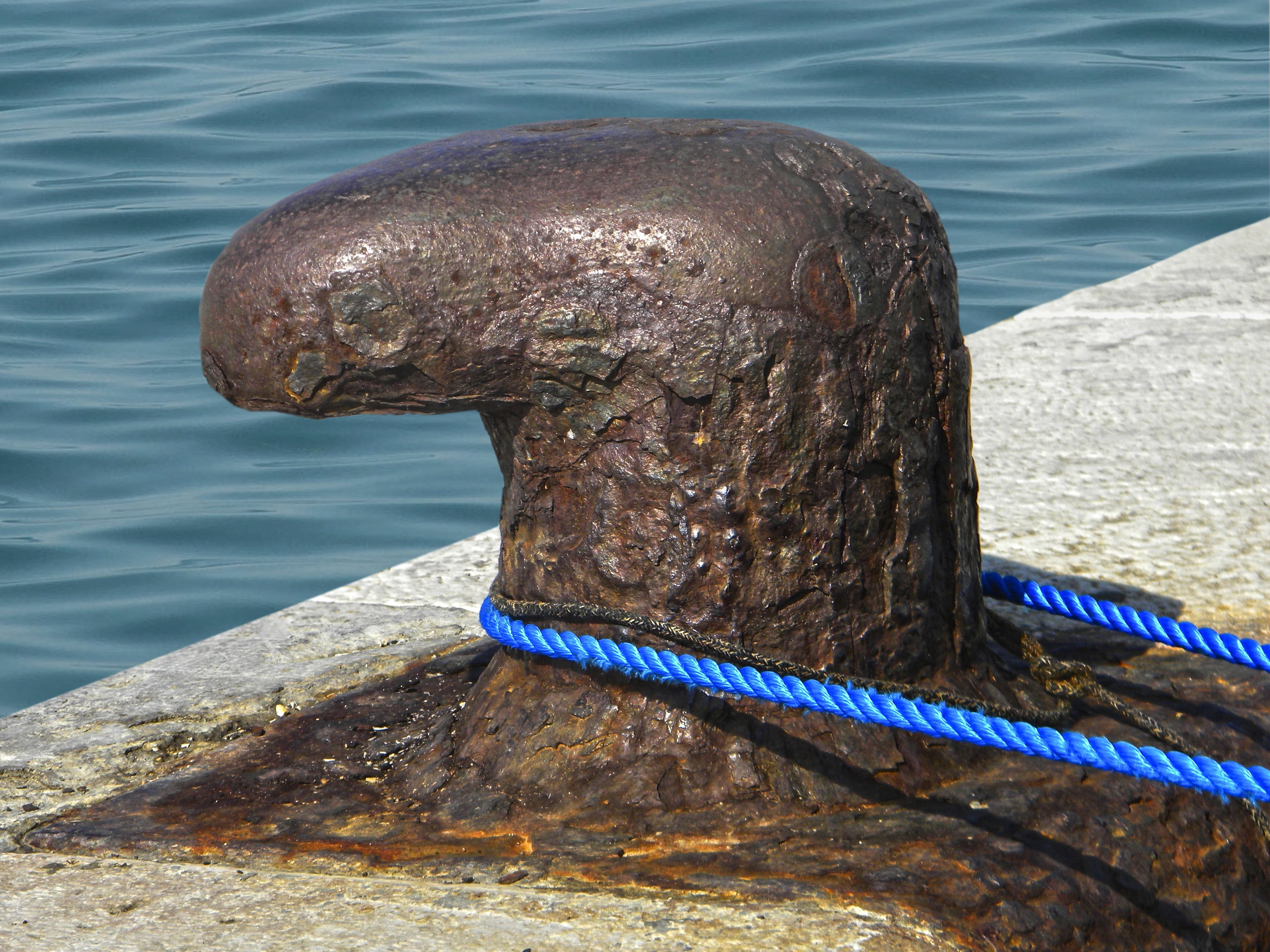 twisted ropes, high angle view, rusty, day, ship, animal wildlife, sea, fix, post, harbor, leash, moored, sunlight, water, dew, bollard, maritime, outdoors, HD Wallpaper