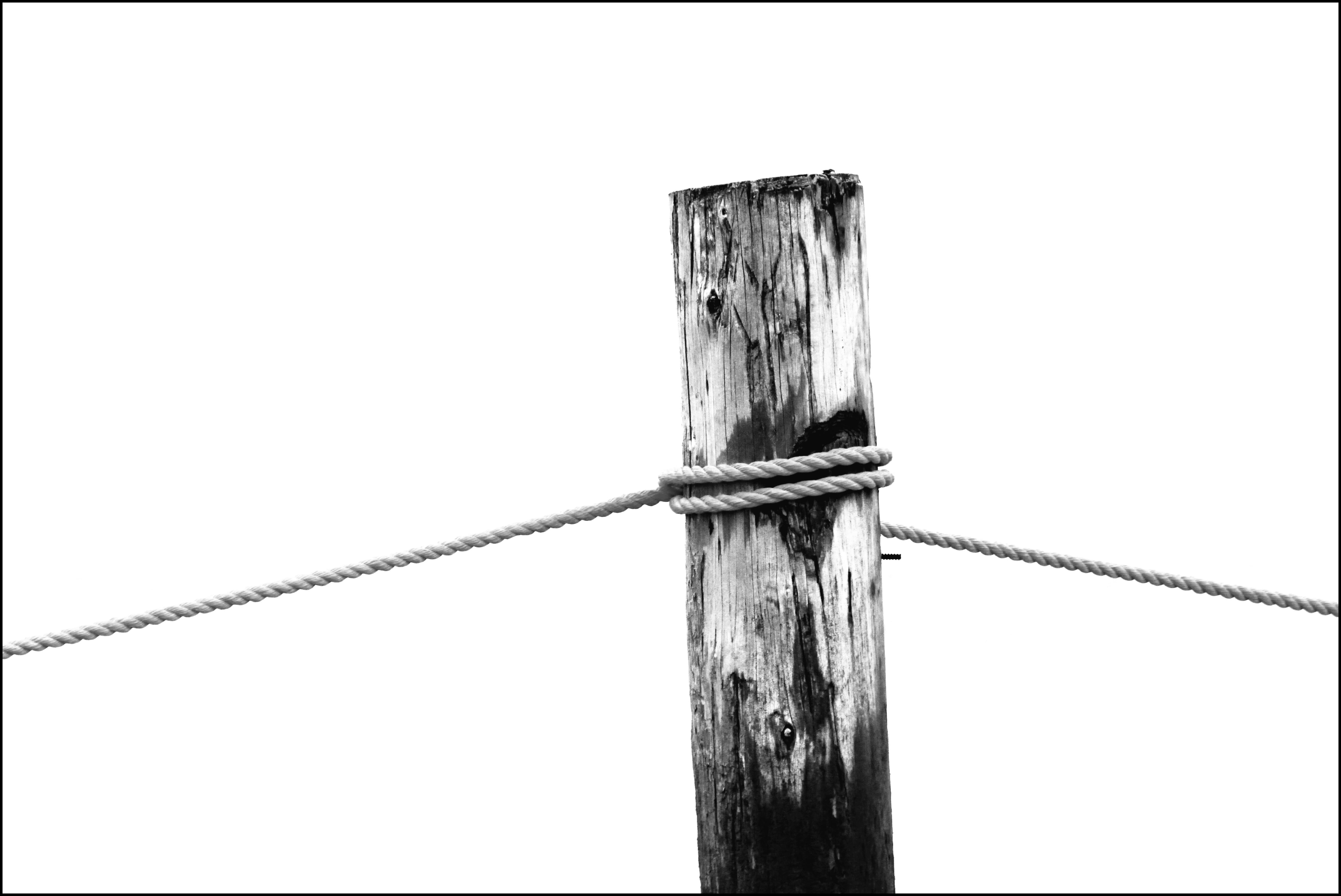 knitting, keep, tied up, wooden posts, fence, wooden post, woven, north sea, groynes, alloy, black and white, nature, clear sky, sky, thaw, white, auto post production filter, HD Wallpaper