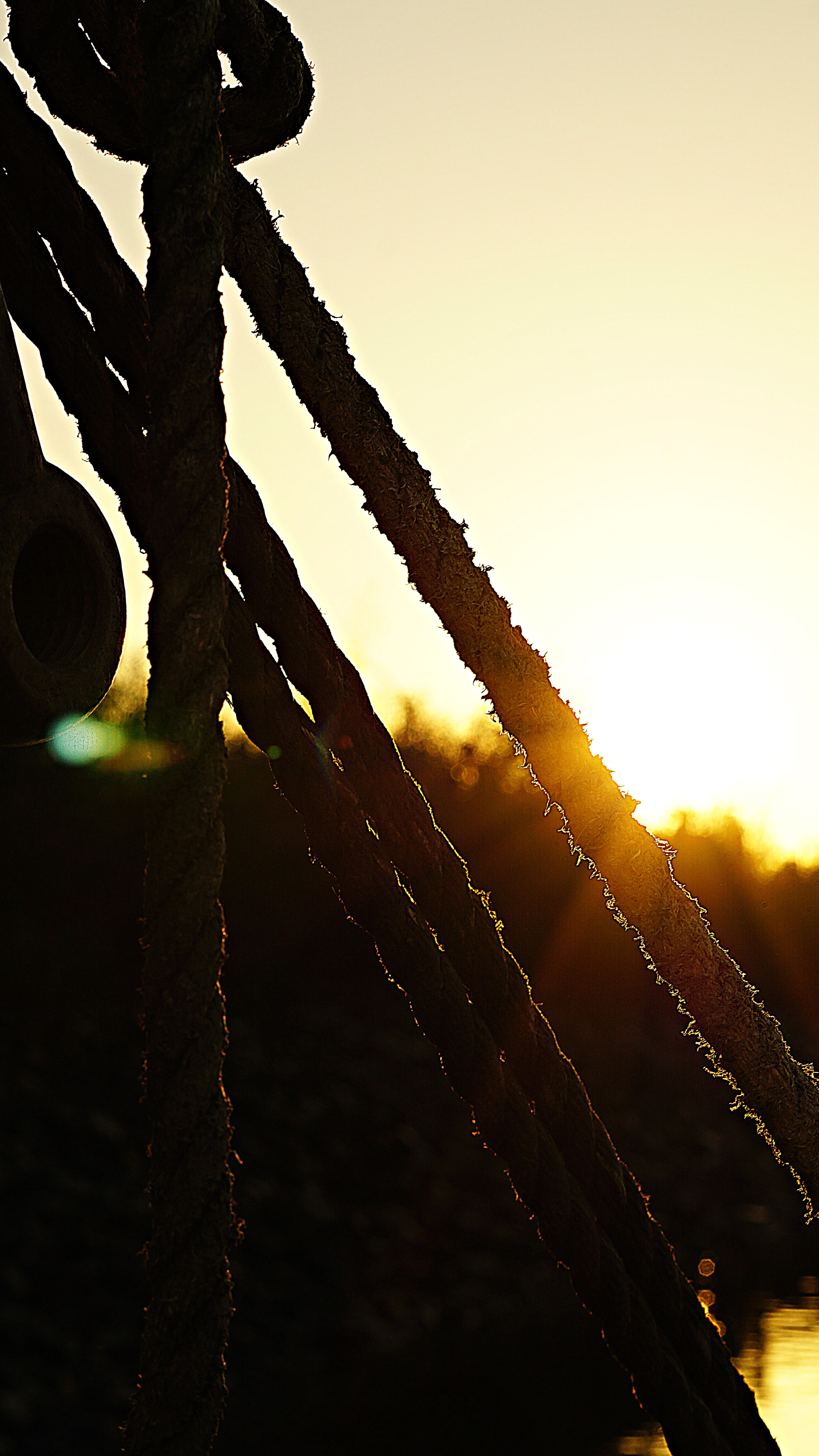 sky, close-up, boundary, port, boat, day, ship traffic jams, elbe, shipping, dew, leash, plant, technology, accessories, seafaring, sunset, fixing, woven, Phone HD Wallpaper
