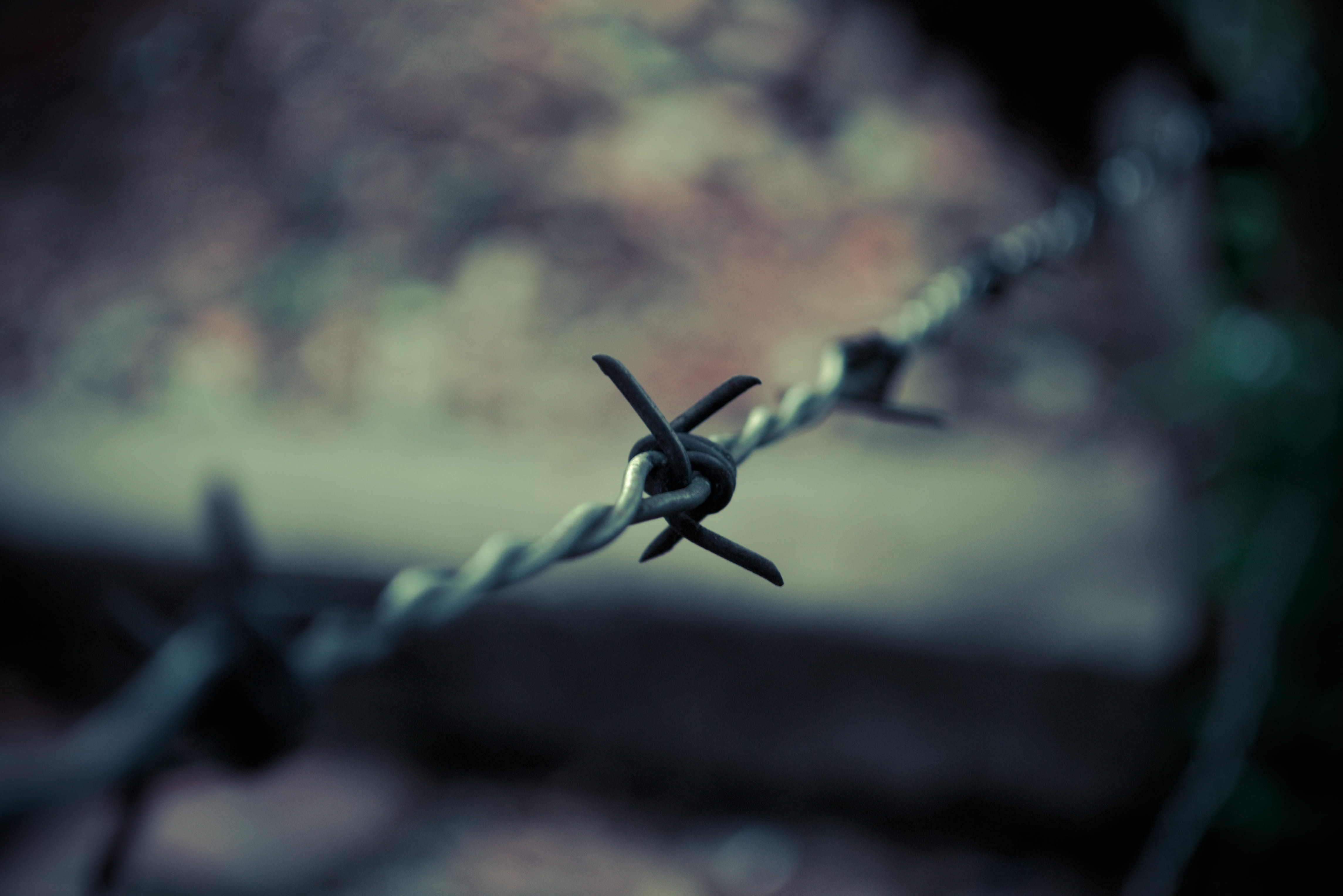 close-up, focus on foreground, selective focus, prison, barbed Wire, sharp, outdoors, Grating, communication, fence, barrier, wire, day, no People, Sensations, HD Wallpaper