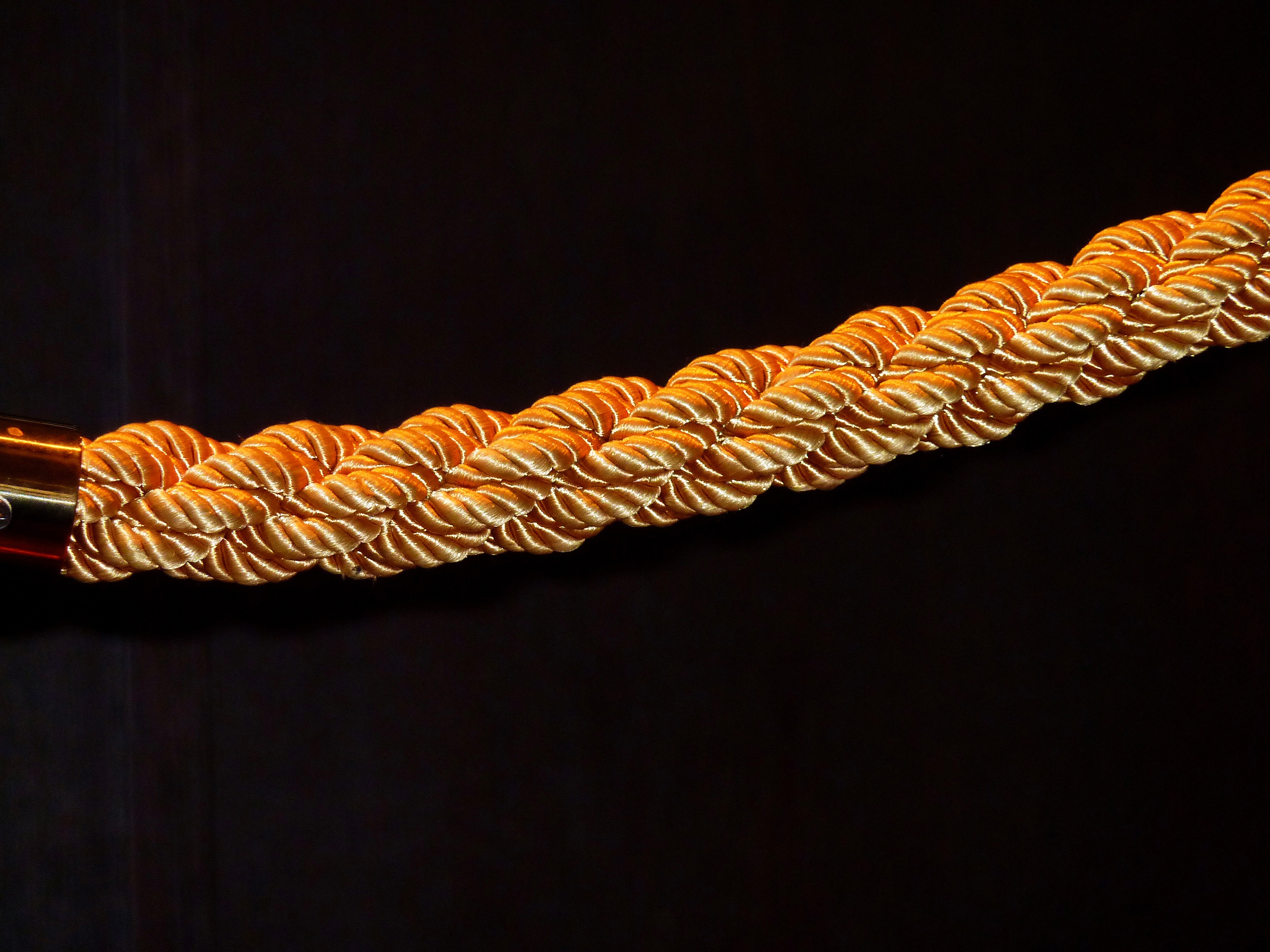 2K, black background, studio shot, no people, copy space, close up, close-up, plant part, spiral, orange color, pattern, indoors, rope, twisted, still life, HD Wallpaper