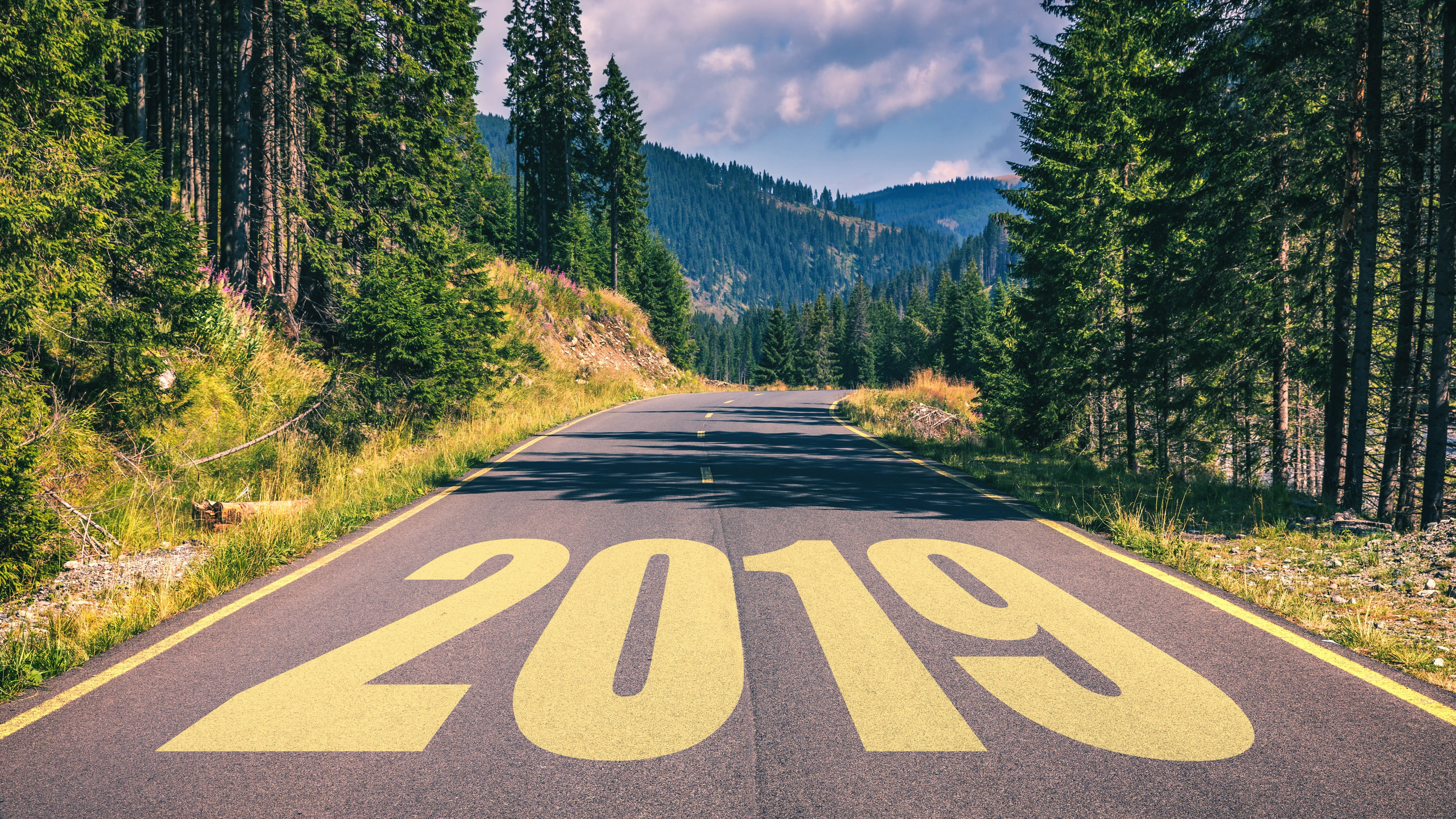 highway, 5K, 2019, road, new year, treew, forest, pine forest, HD Wallpaper