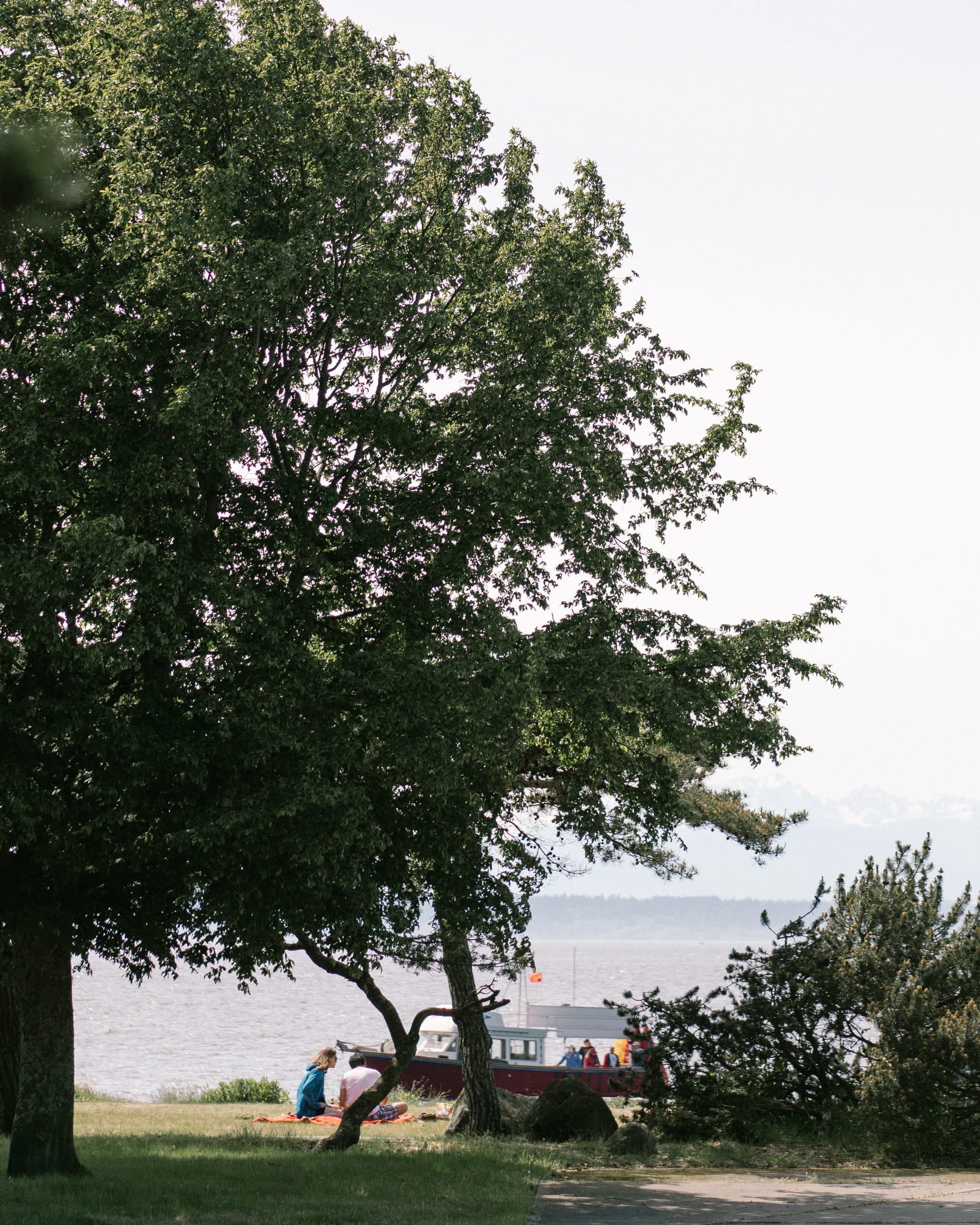 green color, ocean, people, seattle, day, beauty in nature, road trip, 1080P, women, blue, picnic, men, growth, land vehicle, golden gardens, lifestyles, Phone HD Wallpaper