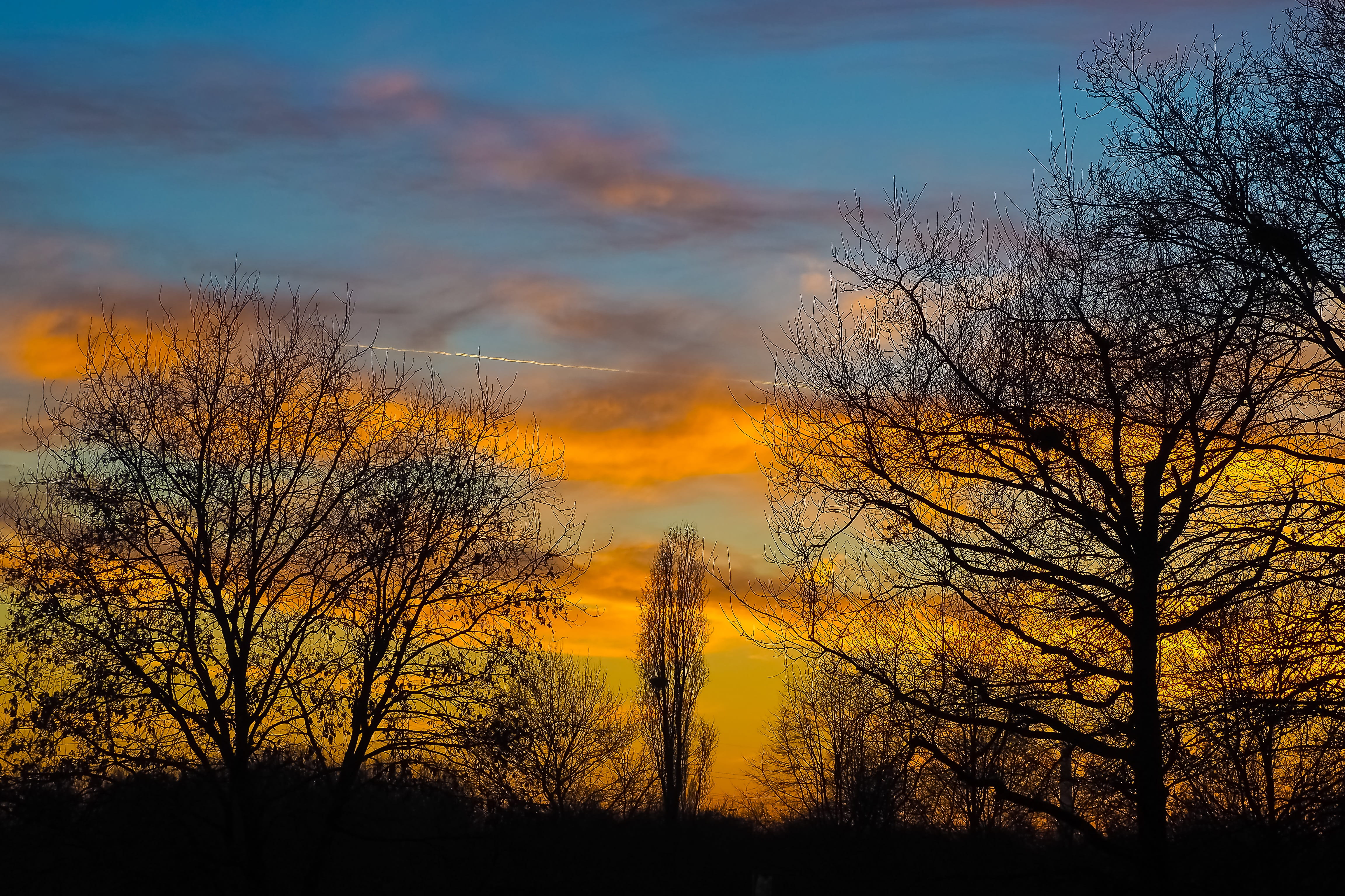 lake, color Image, branch, beauty In Nature, landscape, tranquil scene, light, landscapes, beautiful, yellow, color, plant, nature, cloud - sky, evening sky, HD Wallpaper