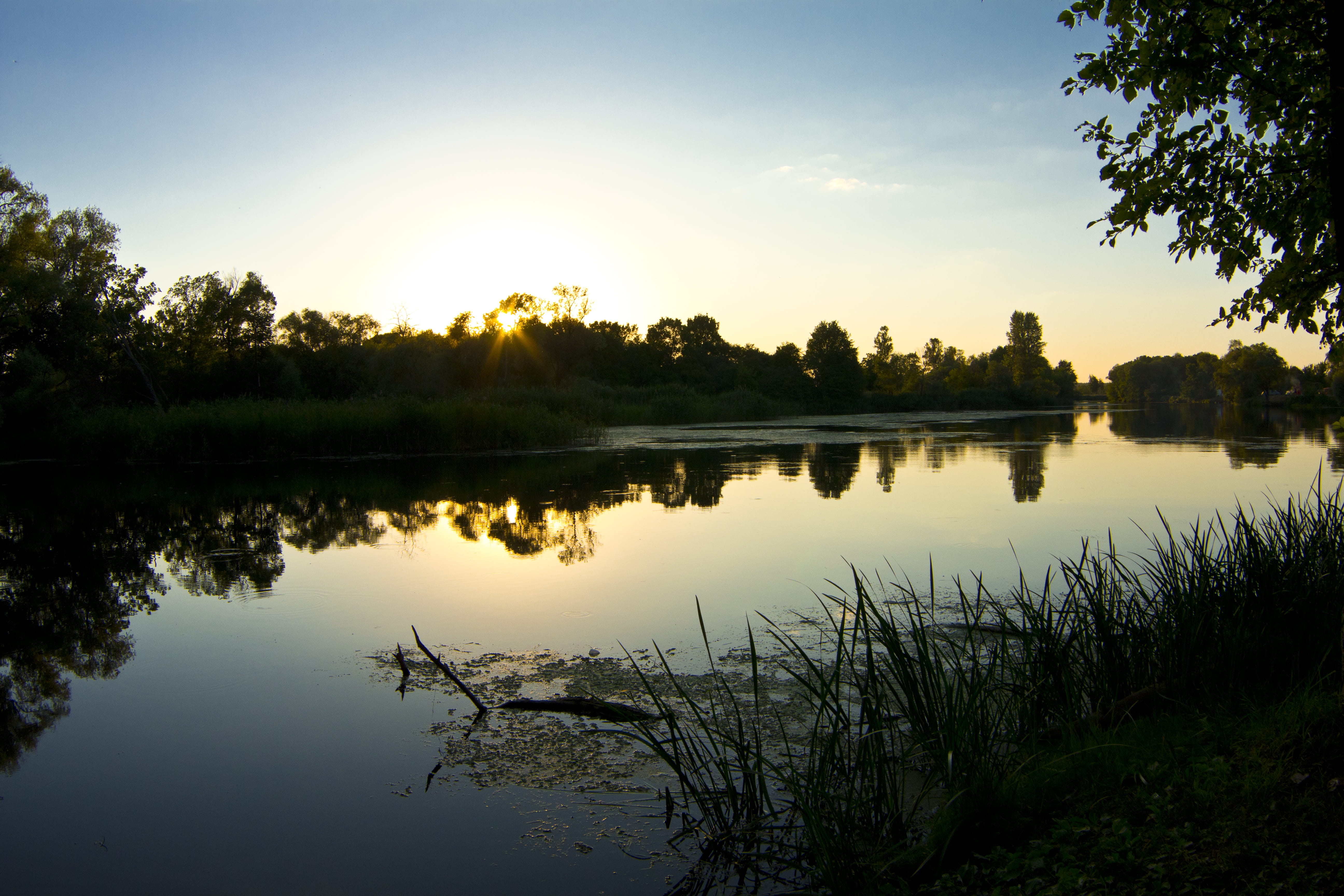 the river, smooth surface, blue, sun, water, growth, fishing, calm, bodies Of Water, quiet river, system reflection namespace, sunlight, River, reflection, HD Wallpaper