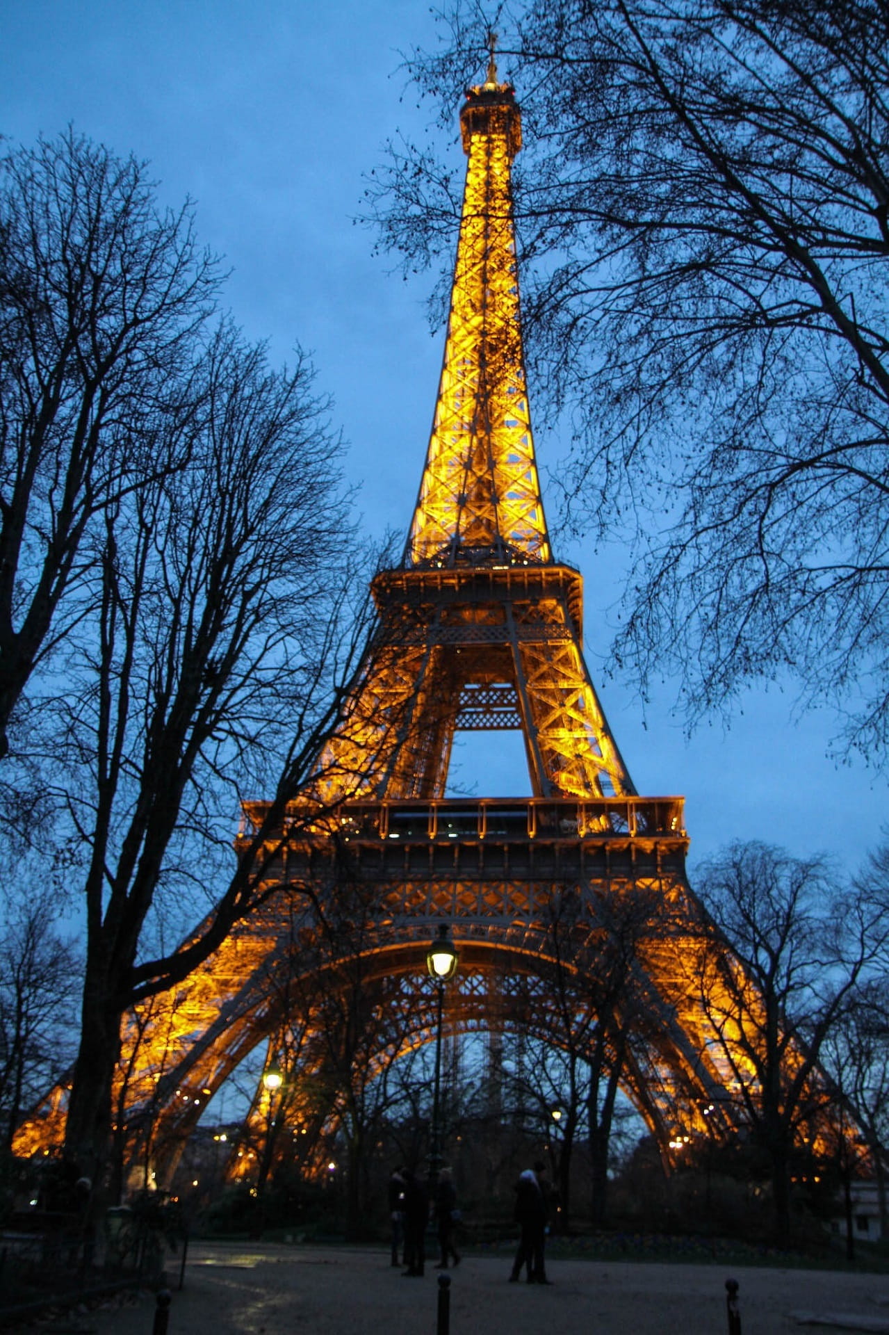Branches, architecture, Evening, landmark, the past, famous, travel destinations, dusk, travel, low angle view, sky, metal, tower, lights, france, paris, Phone HD Wallpaper