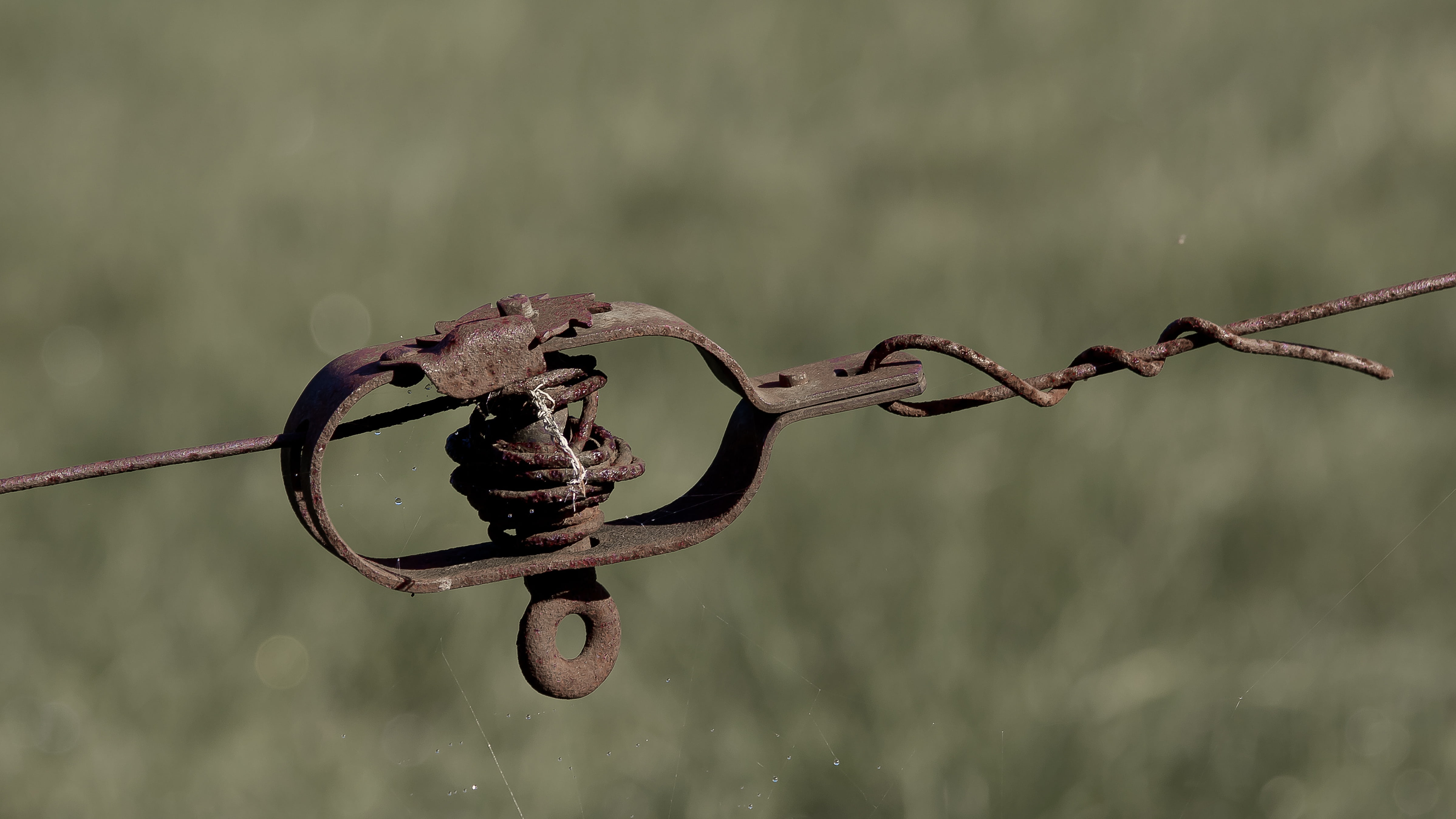 barrier, rusty, demarcation, steel, barbed wire fence, reflection, pasture fence, safety, nature, wire, lake, tensioner, limit, drop, water, hanging, connection, HD Wallpaper