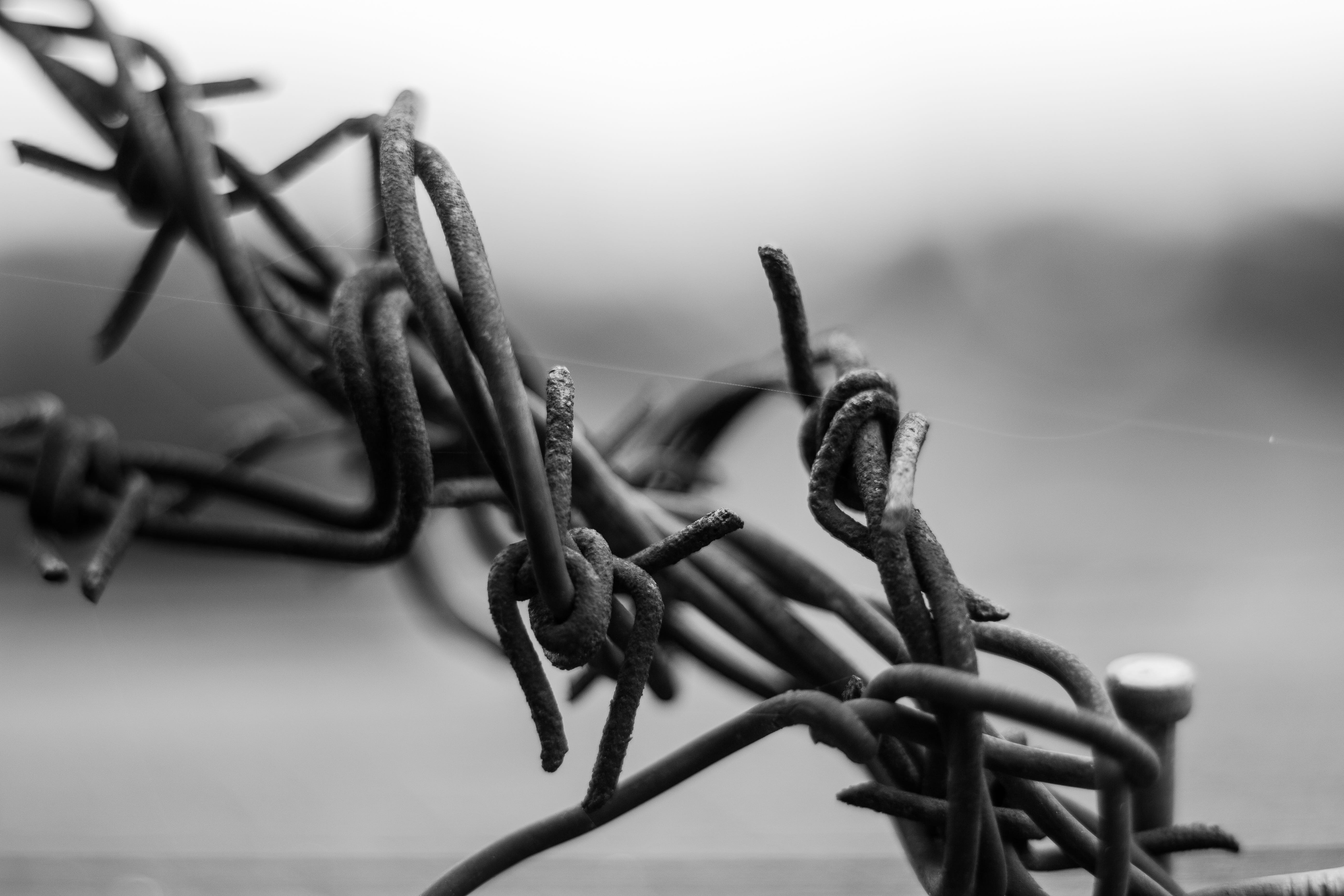cable, macro, barrier, no people, focus on foreground, spiny, close-up, Depth, close up, security, Wire, selective focus, outdoors, 5K, the safety of the, HD Wallpaper