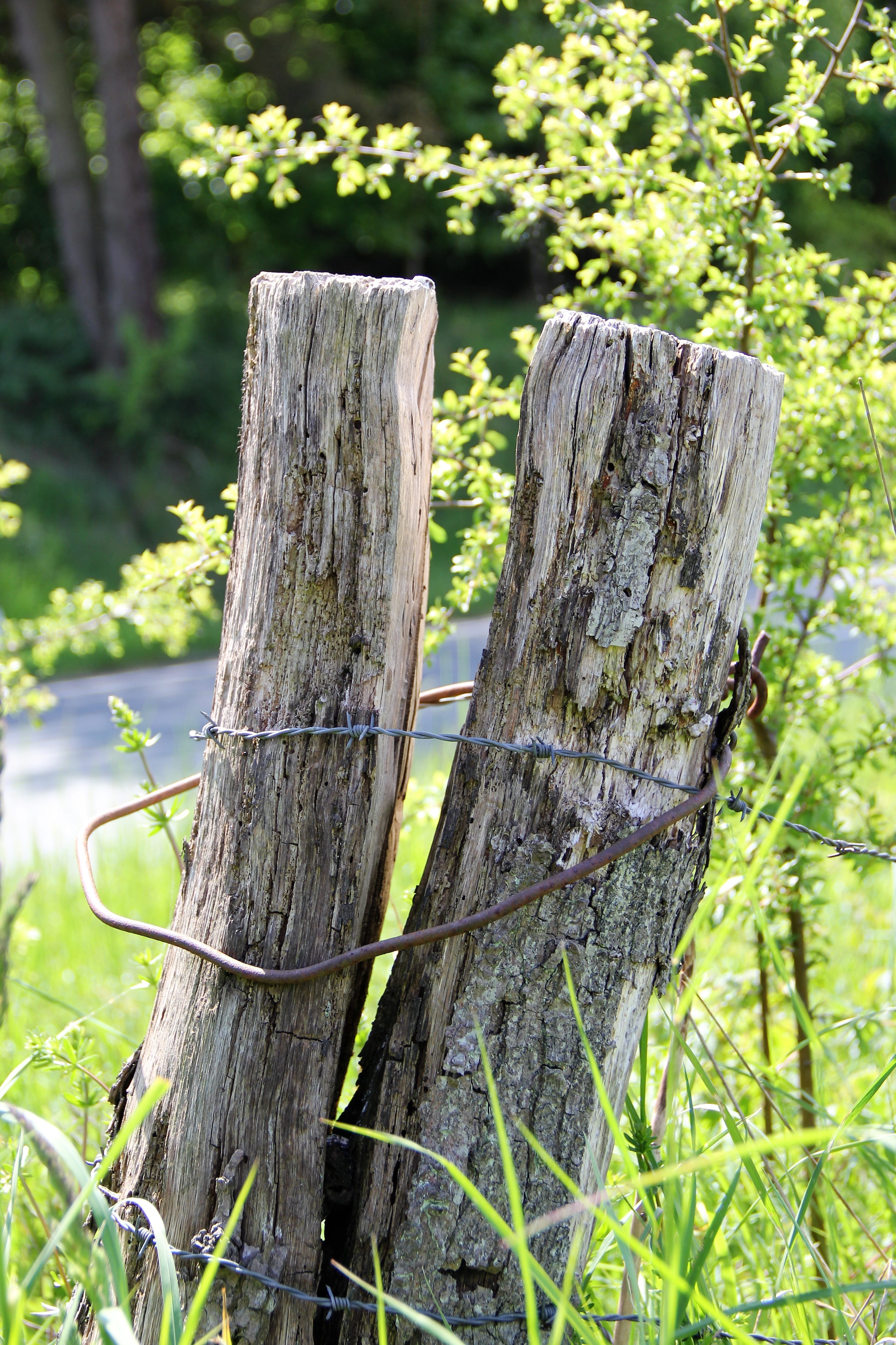 wooden posts, fencing, nature, wooden post, fence, old, grass, post, Pile, demarcation, wood, agriculture, day, barrier, plant, focus on foreground, no people, Phone HD Wallpaper