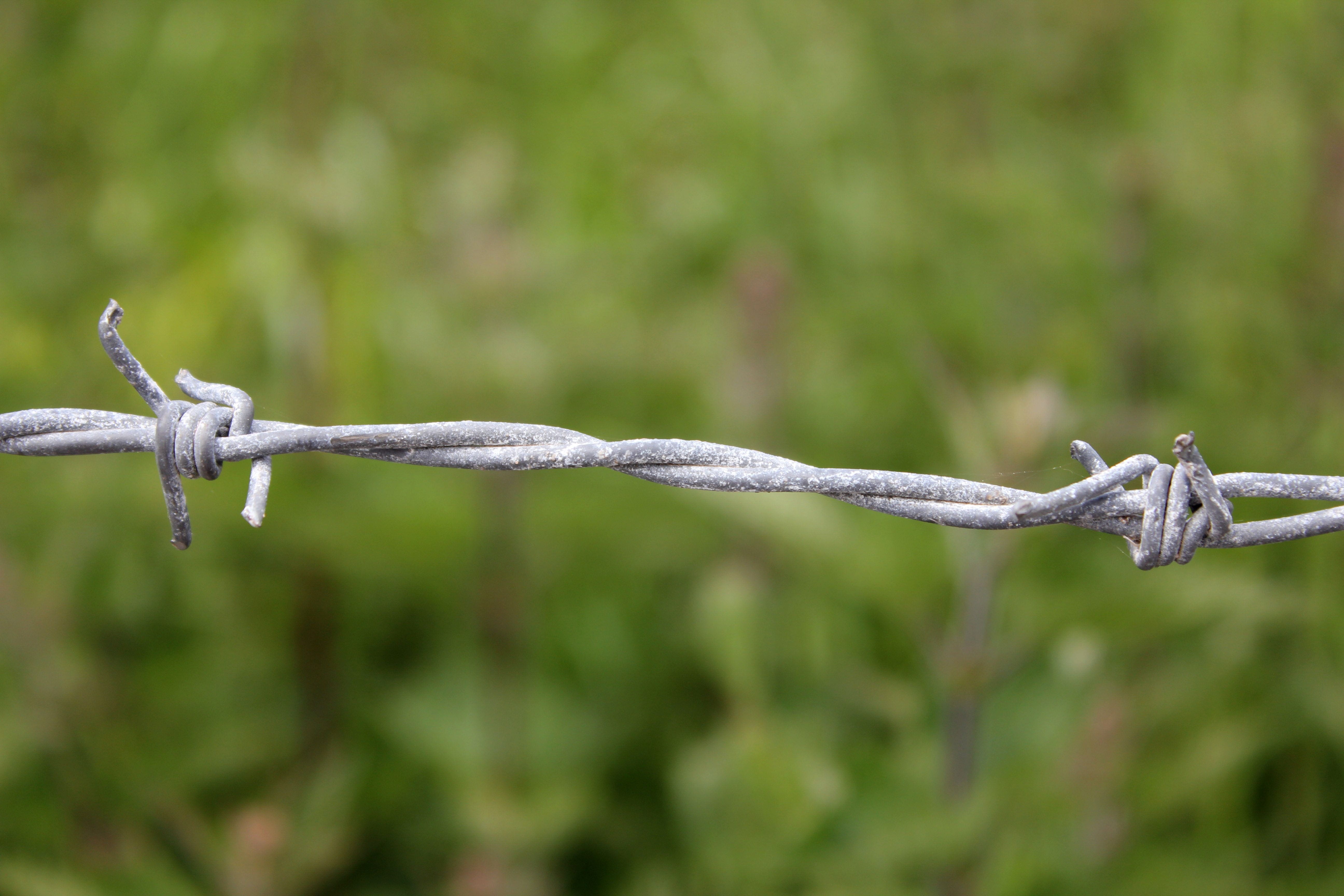containment, restrain, close-up, warning sign, focus on foreground, outdoors, sharp, spikes, protection, 5K, metal, sign, wire, secure, private, boundary, HD Wallpaper