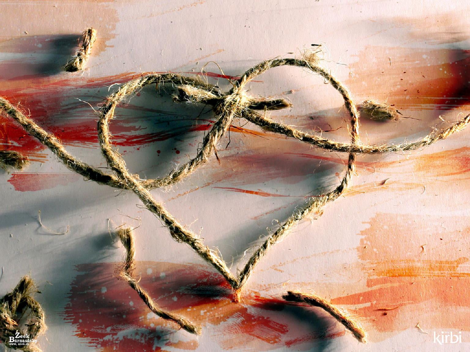 damaged, day, abstract, brown, vegetable, full frame, becevka, 720P, close-up, pattern, wall - building feature, nature, freshness, Zeek Barnaulsky, plant, HD Wallpaper