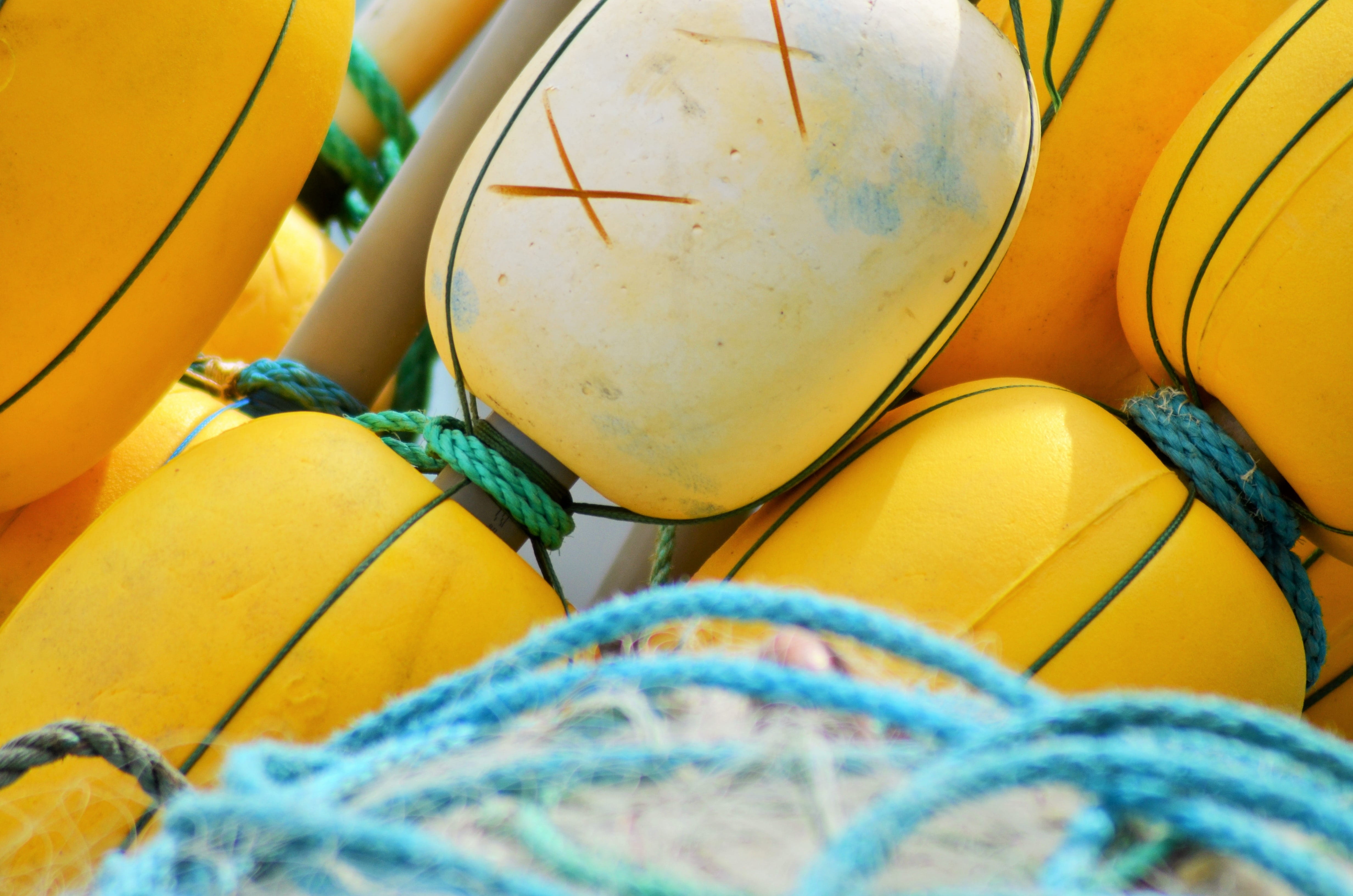 node, fishing net, fishing vessel, rope, close-up, fishing, fisherman boat, port, container, traditional fishing, net, fish, Buoy, studio shot, France, HD Wallpaper