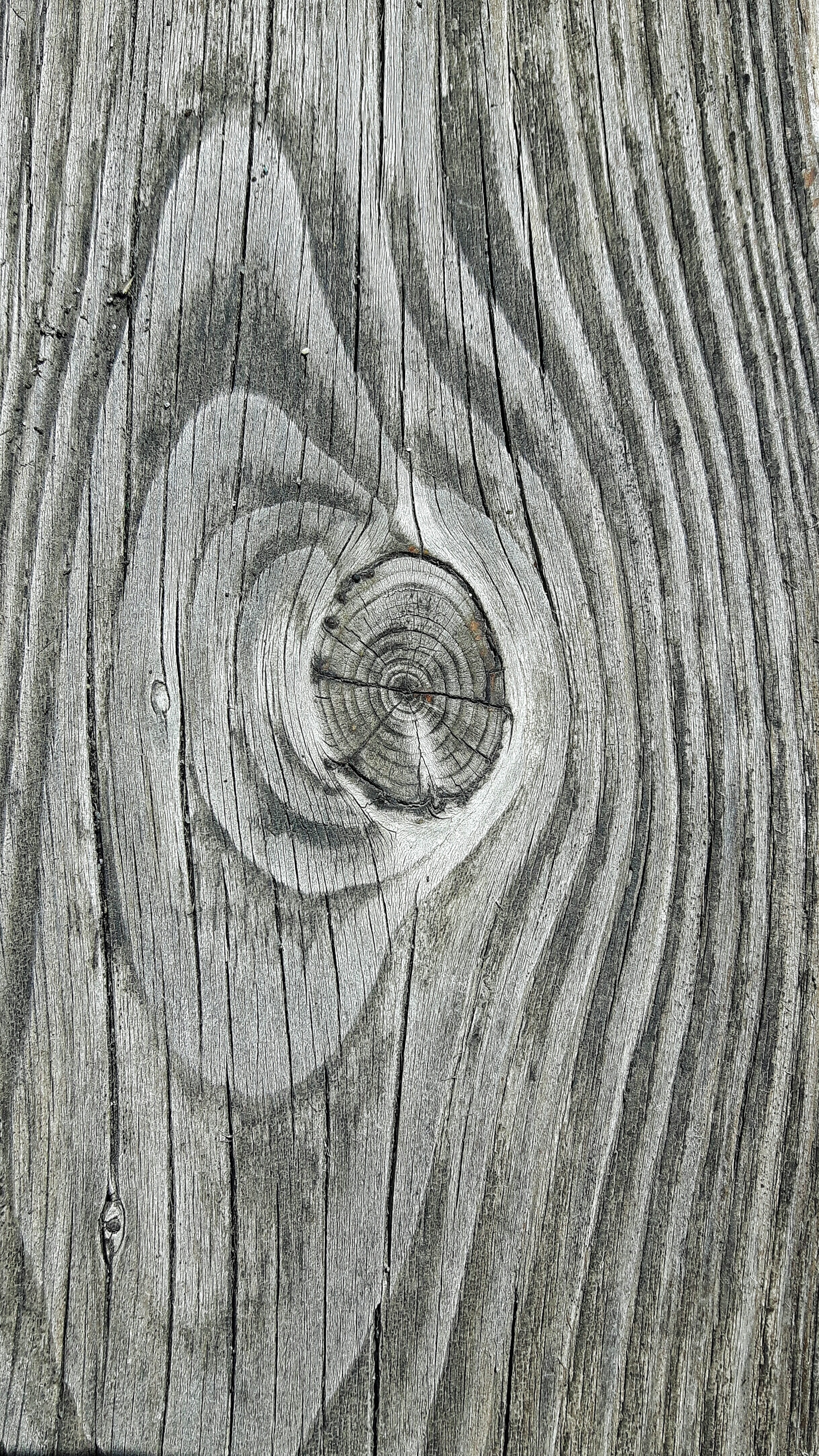 4K, rough, plant, full frame, no people, tree trunk, close-up, wood grain, tree ring, pattern, textured, nature, old, day, geometric shape, door, wood, Phone HD Wallpaper