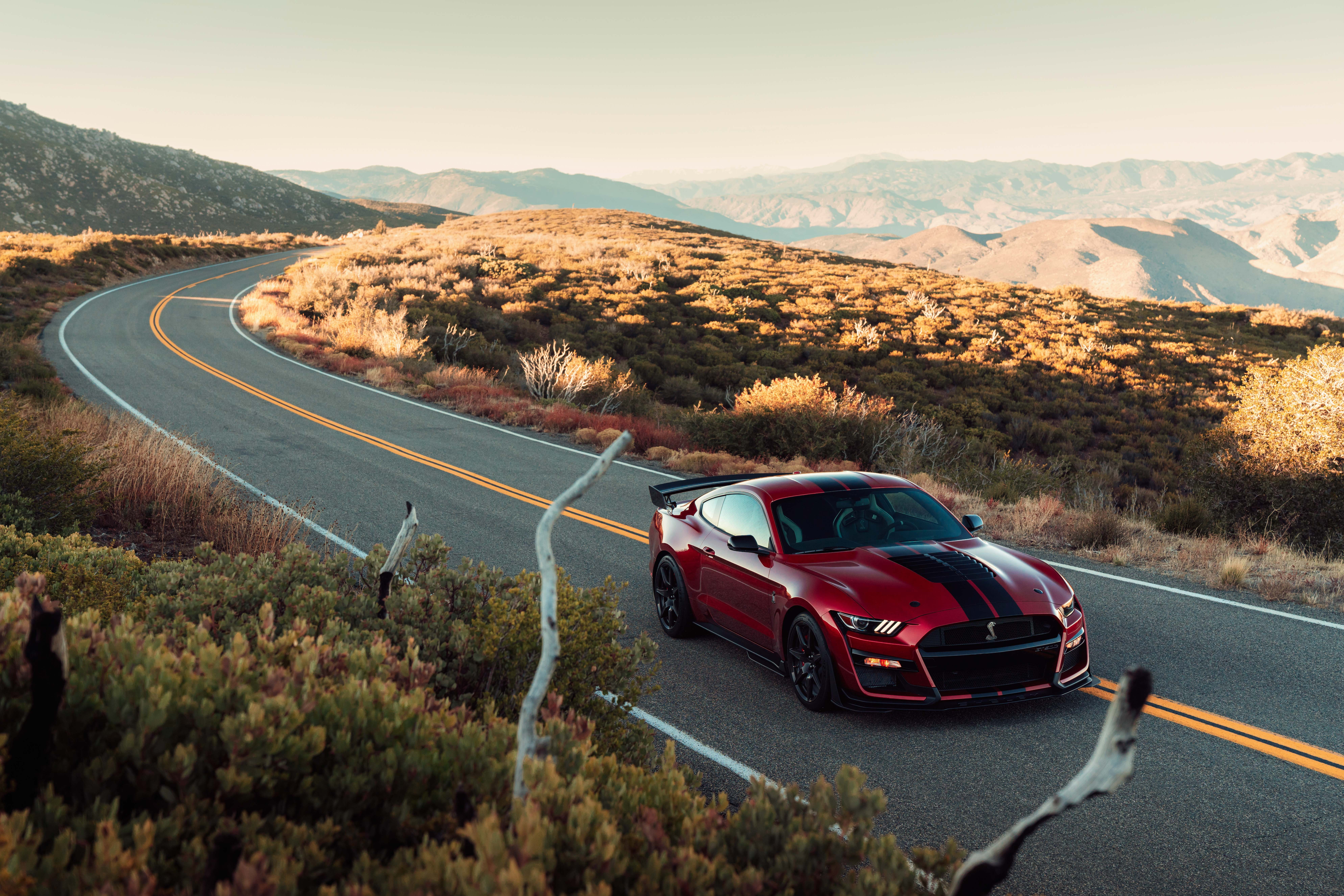 machine, style, 2020, sports car, Ford Mustang Shelby GT500, markup, lights, Ford, road, nature, 8K, hills, sports, mountains, HD Wallpaper