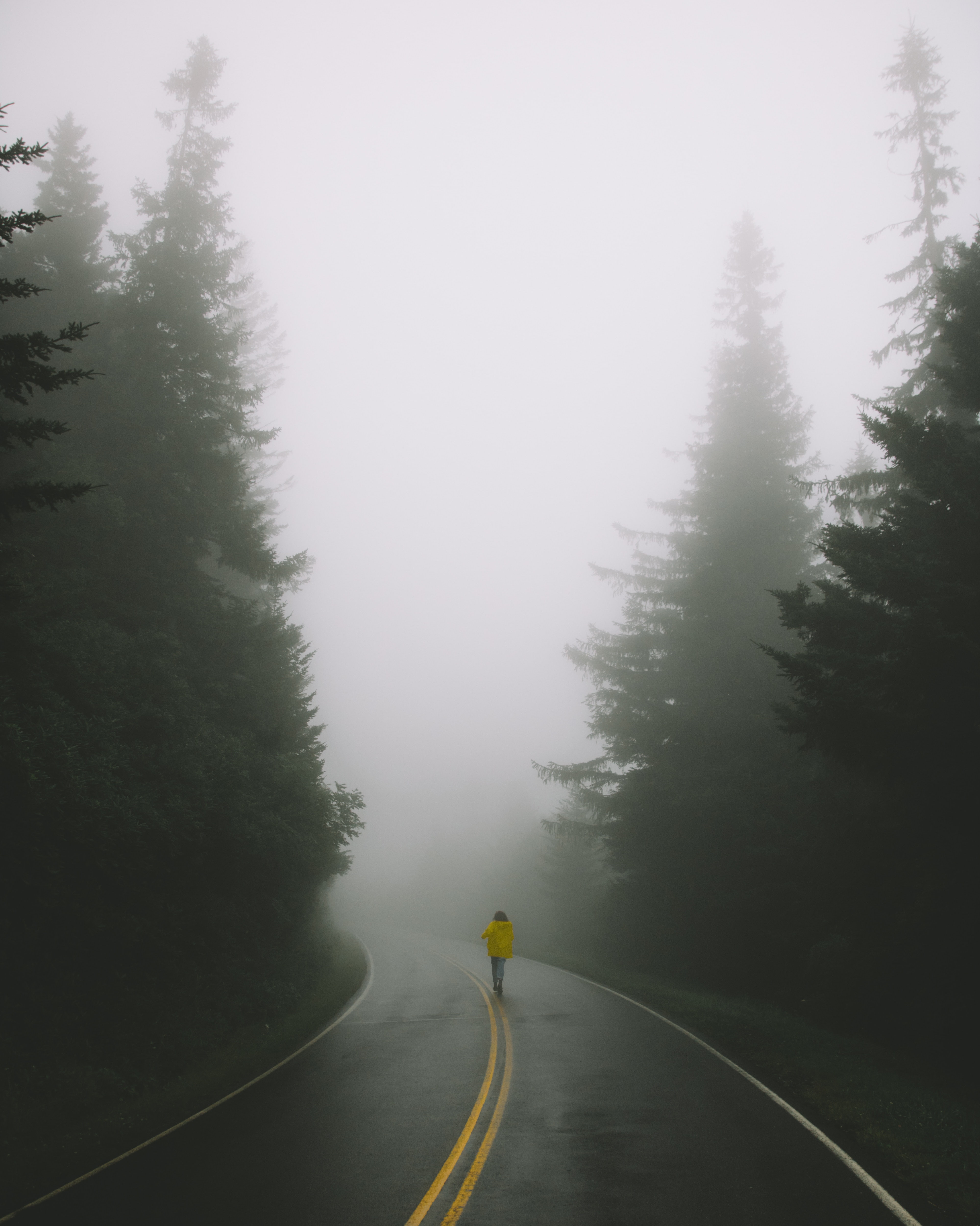 turn, man, fog, loneliness, road, 4K, markup, Phone HD Wallpaper