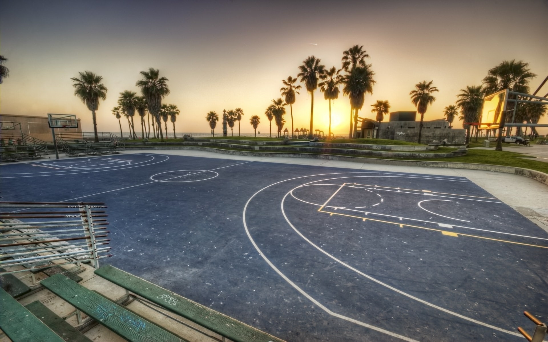 Evening, sunlight, absence, track and field, day, palm tree, Markup, no people, nature, Palms, tree, empty, plant, Basketball, sky, competitive sport, basketball - sport, HD Wallpaper