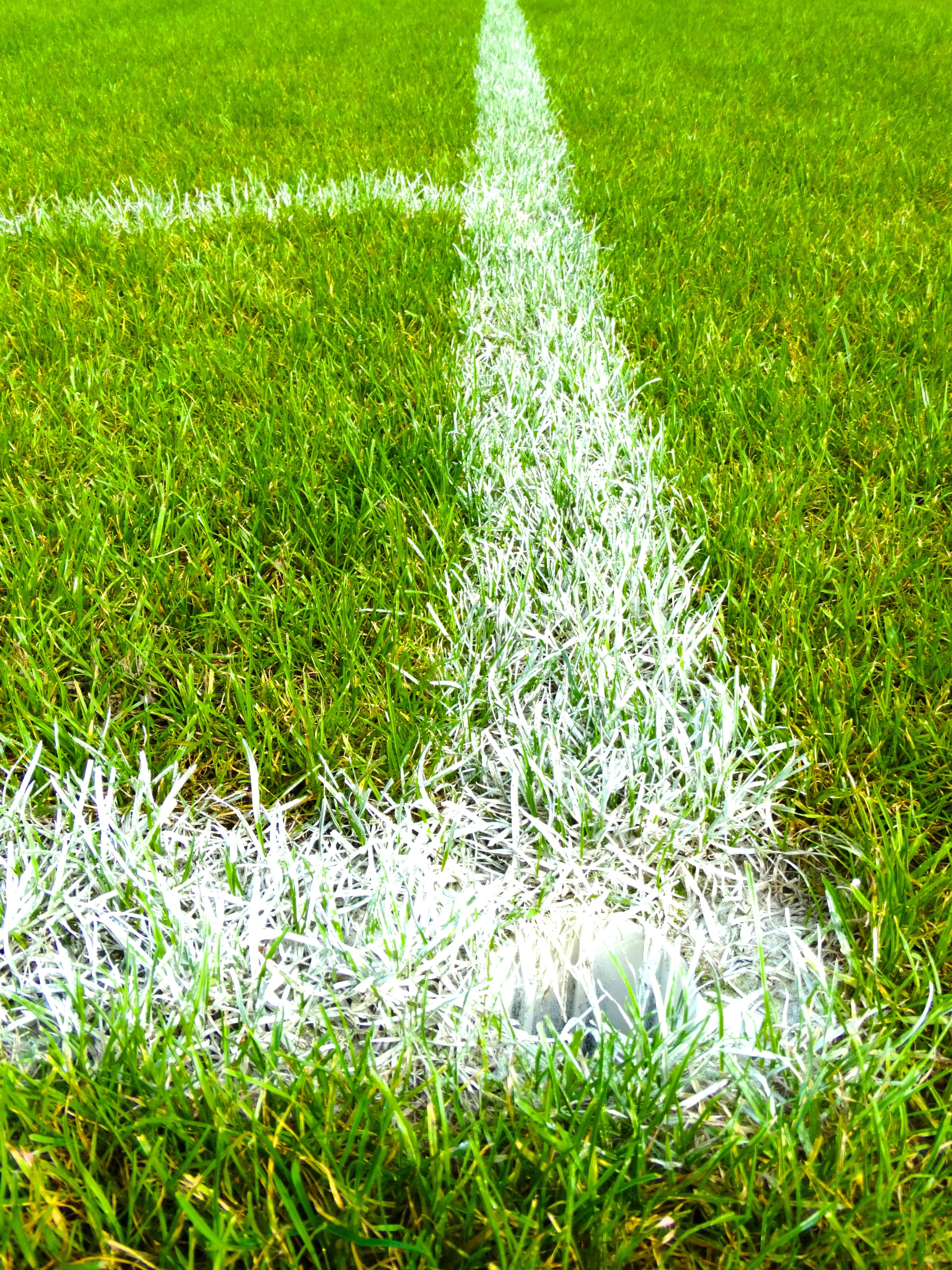 sport, grass, corner, white, turf, color, green Color, 4K, landscape, lawn, tranquility, day, environment, football field, football, beauty in nature, Phone HD Wallpaper