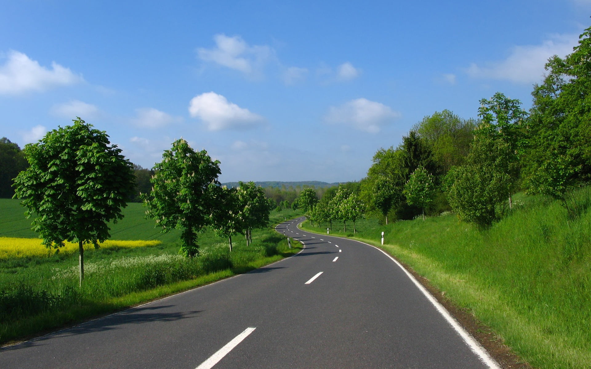 tranquility, asphalt, hill, blue, transportation, trees, no People, road marking, glade, springtime, forest, cloud - Sky, markup, lane, marking, street, HD Wallpaper