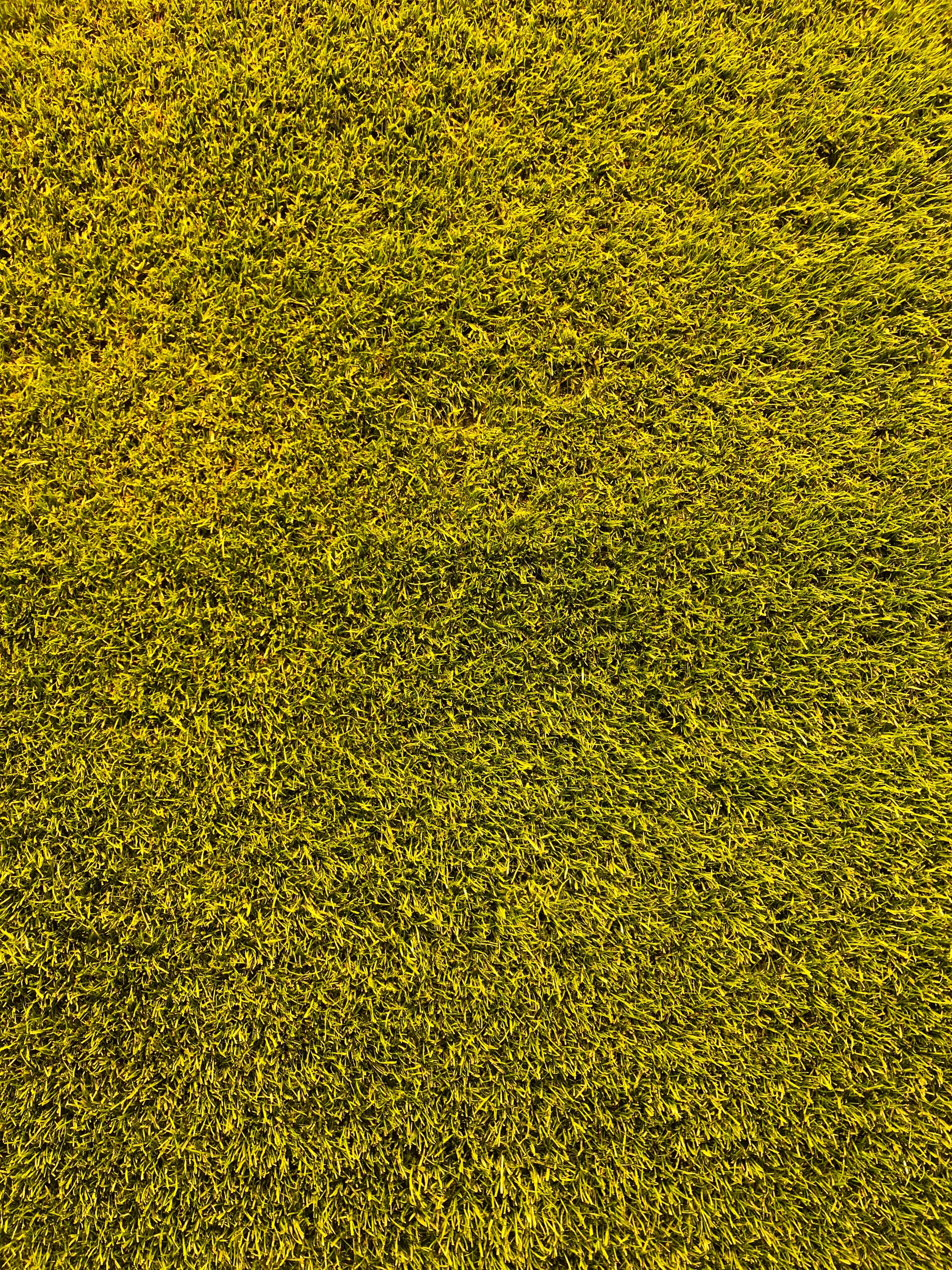 abstract, environment, lawn, growth, plant, playing Field, nature, grass, sport, soccer, close-up, day, field, backdrop, green, freshness, land, yellow, Phone HD Wallpaper