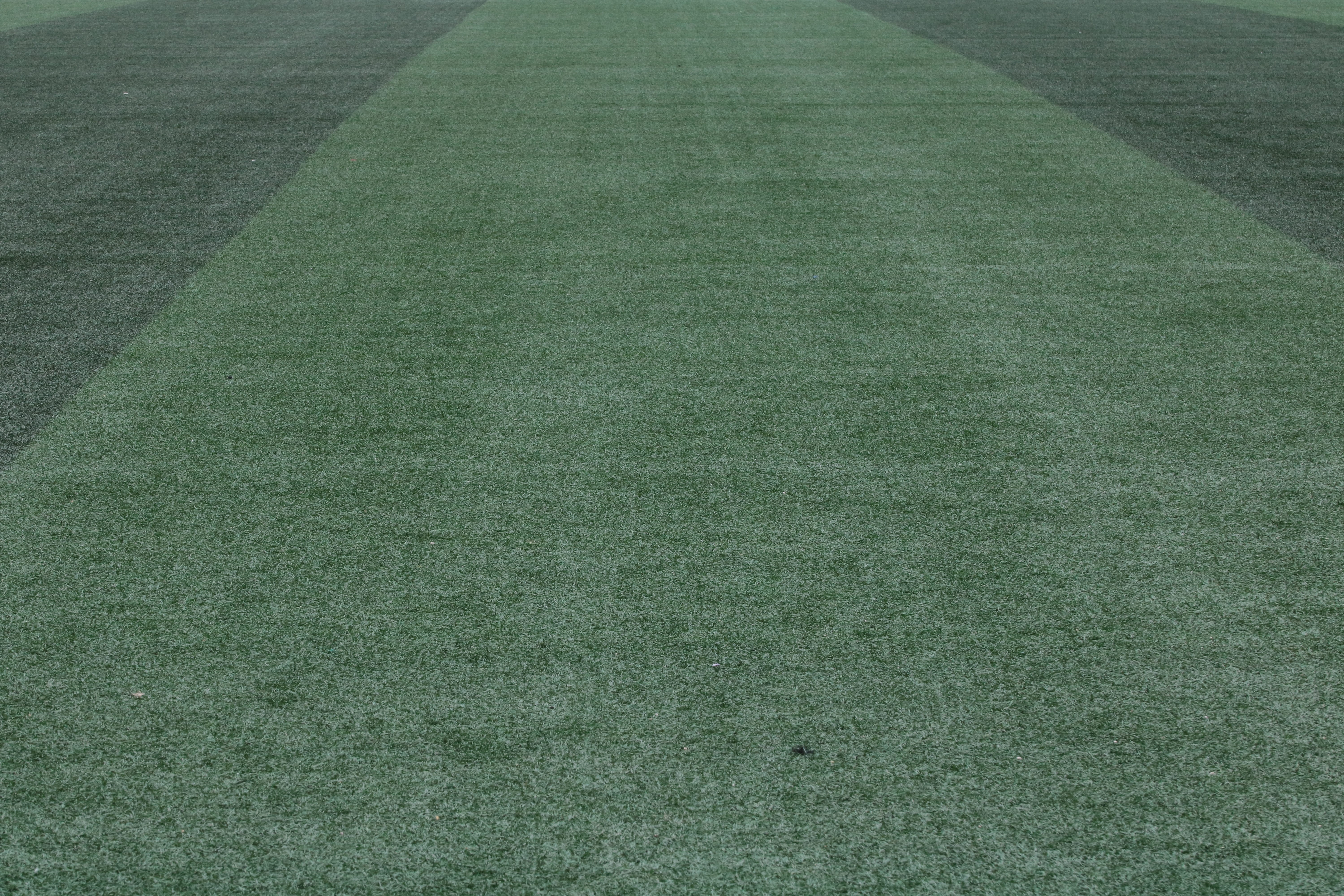 close-up, plant, exercise, high angle view, playing field, textured effect, american football - sport, football, empty, outdoors, artificial turf, surface level, HD Wallpaper