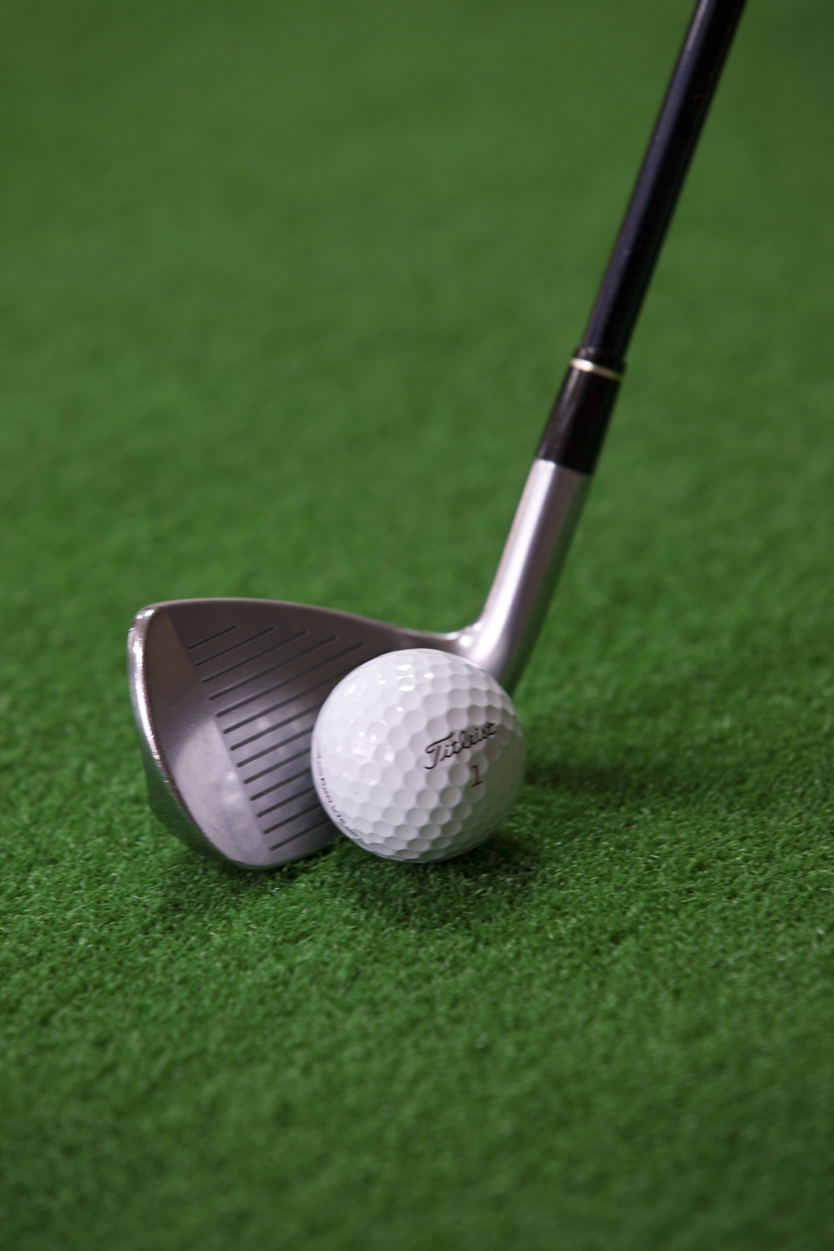grass, golf, golf course, plant, leisure activity, tee, artificial turf, selective focus, green color, green - golf course, accuracy, grass golf balls, Phone HD Wallpaper