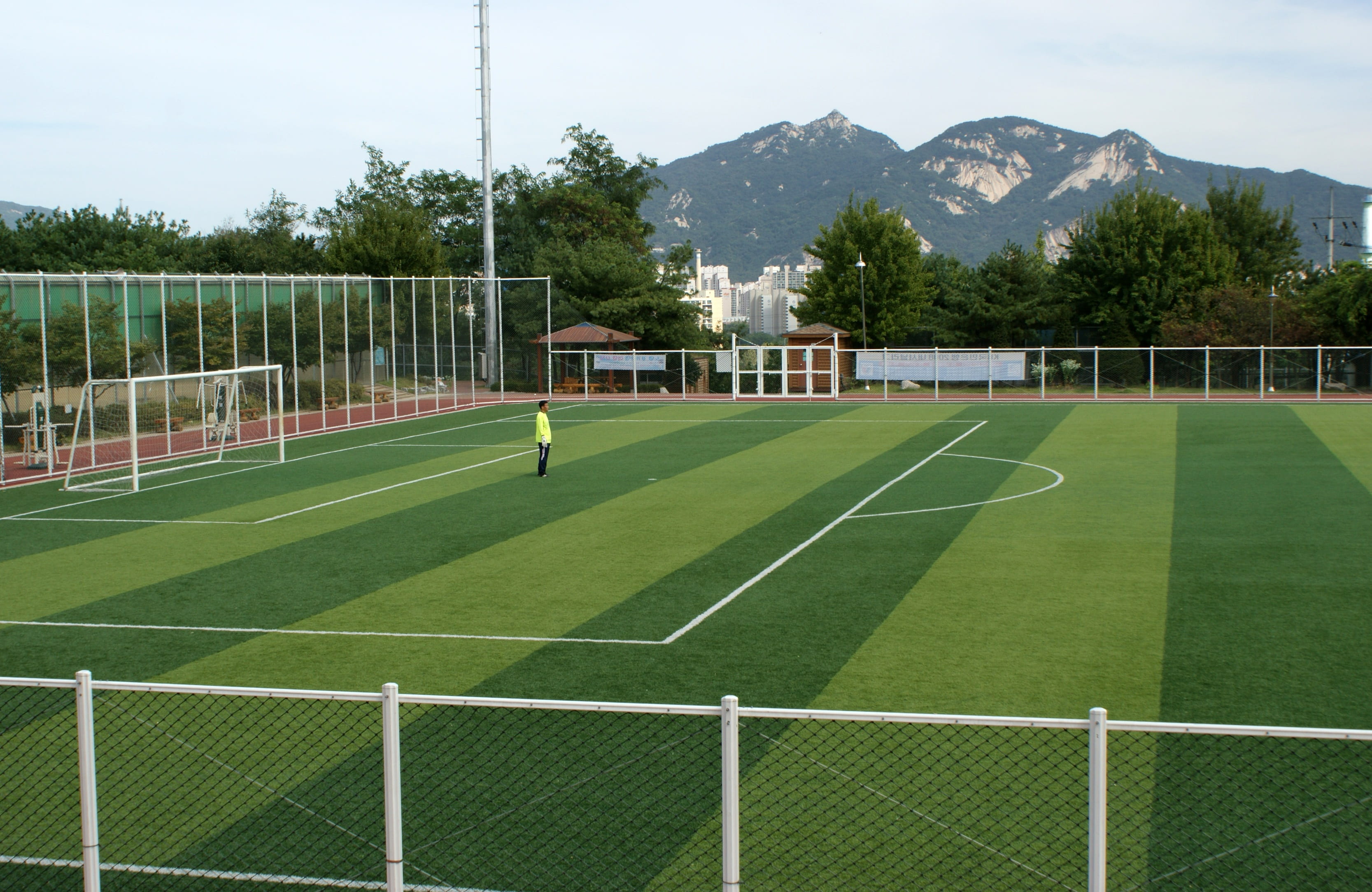 exercise, artificial turf, green color, net - sports equipment, hobby, soccer, leisure activity, early football, plant, soccer field, football, nature, HD Wallpaper