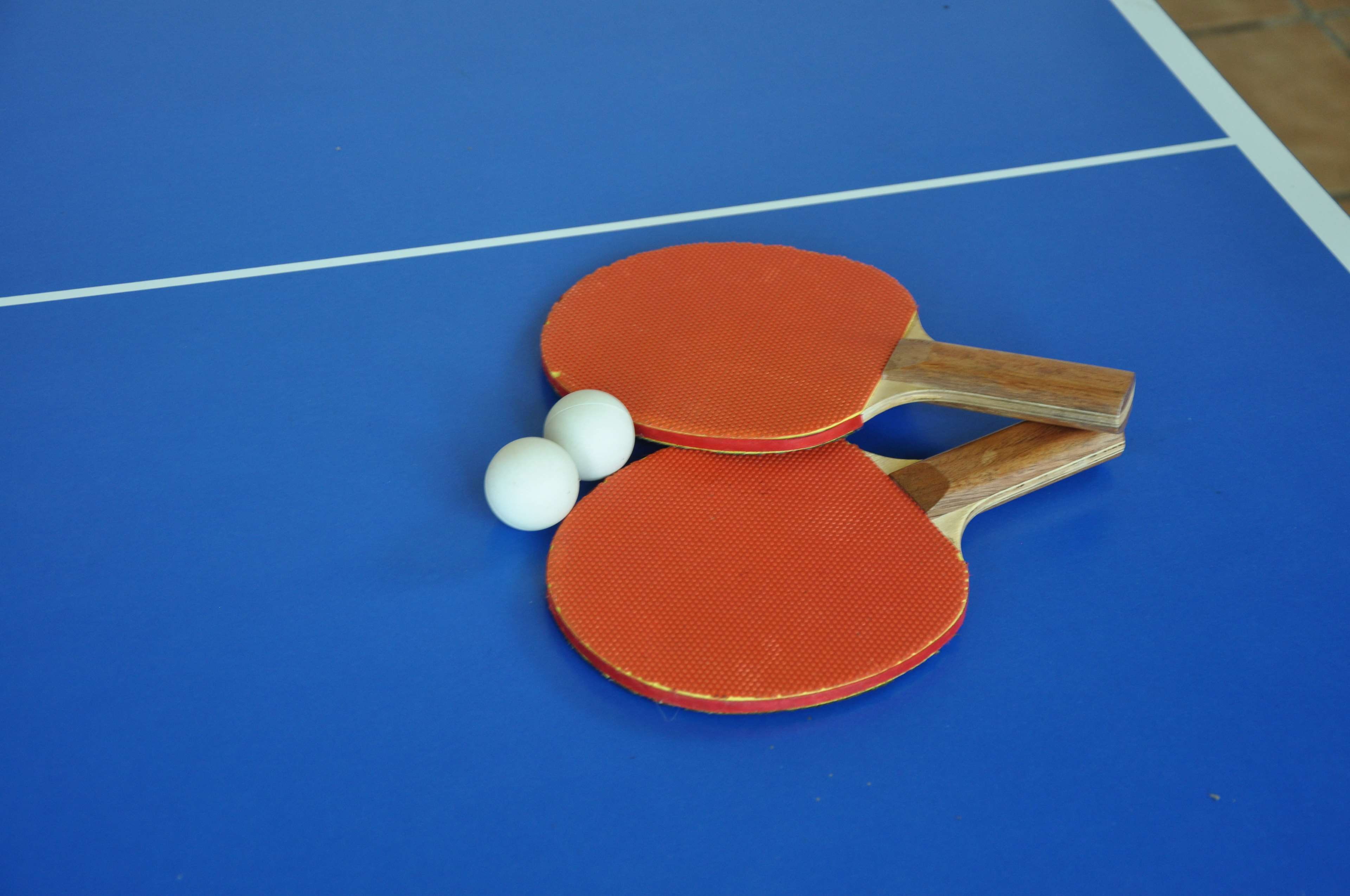 racket, high angle view, game, sports equipment, competition, 4K, court, ball, leisure activity, studio shot, table tennis, colored background, net - sports equipment, HD Wallpaper