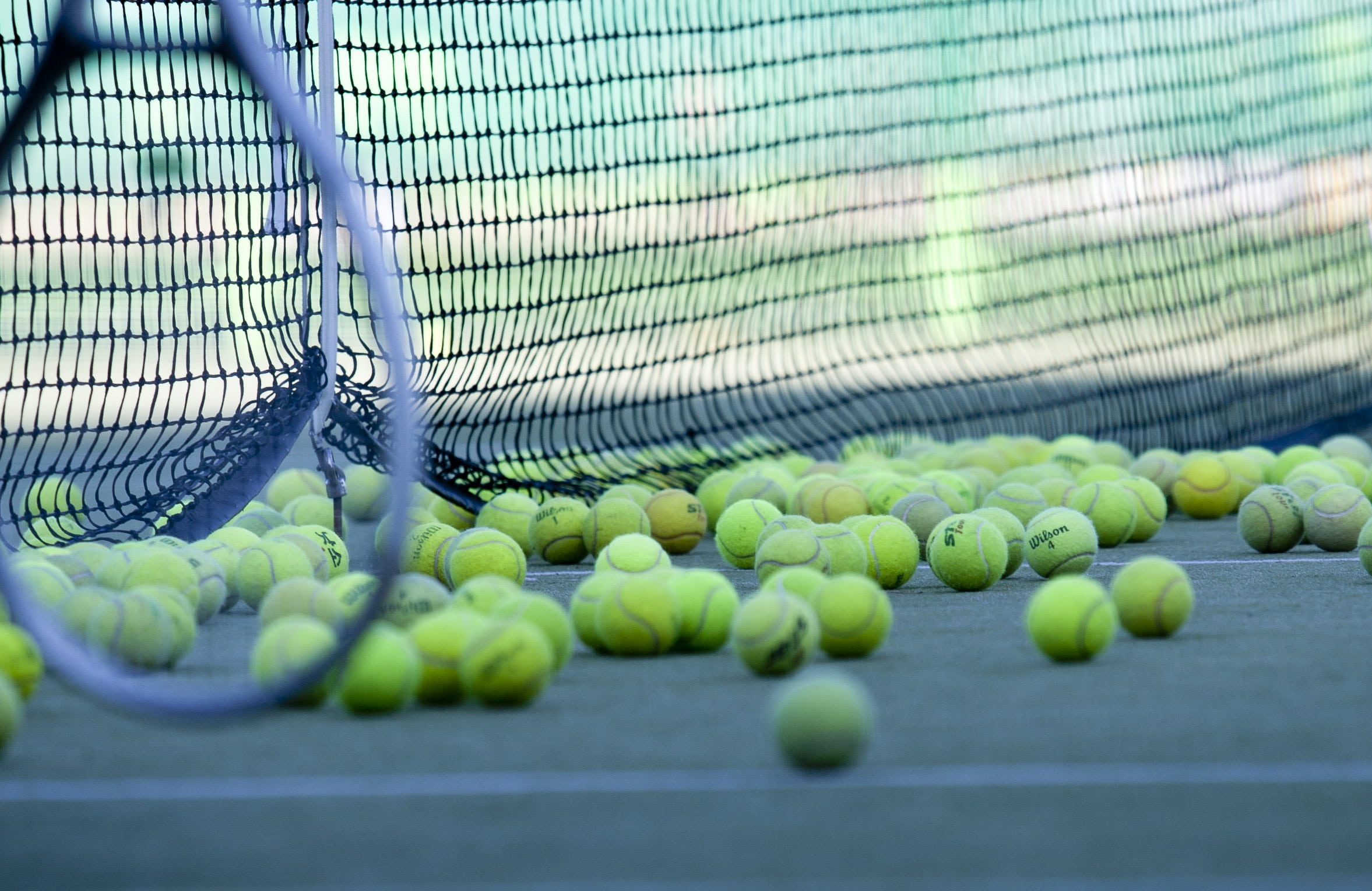 tennis, green color, ball, 1080P, balls, sport, net, day, no people, large group of objects, fruit, abundance, playground, healthy eating, selective focus, HD Wallpaper