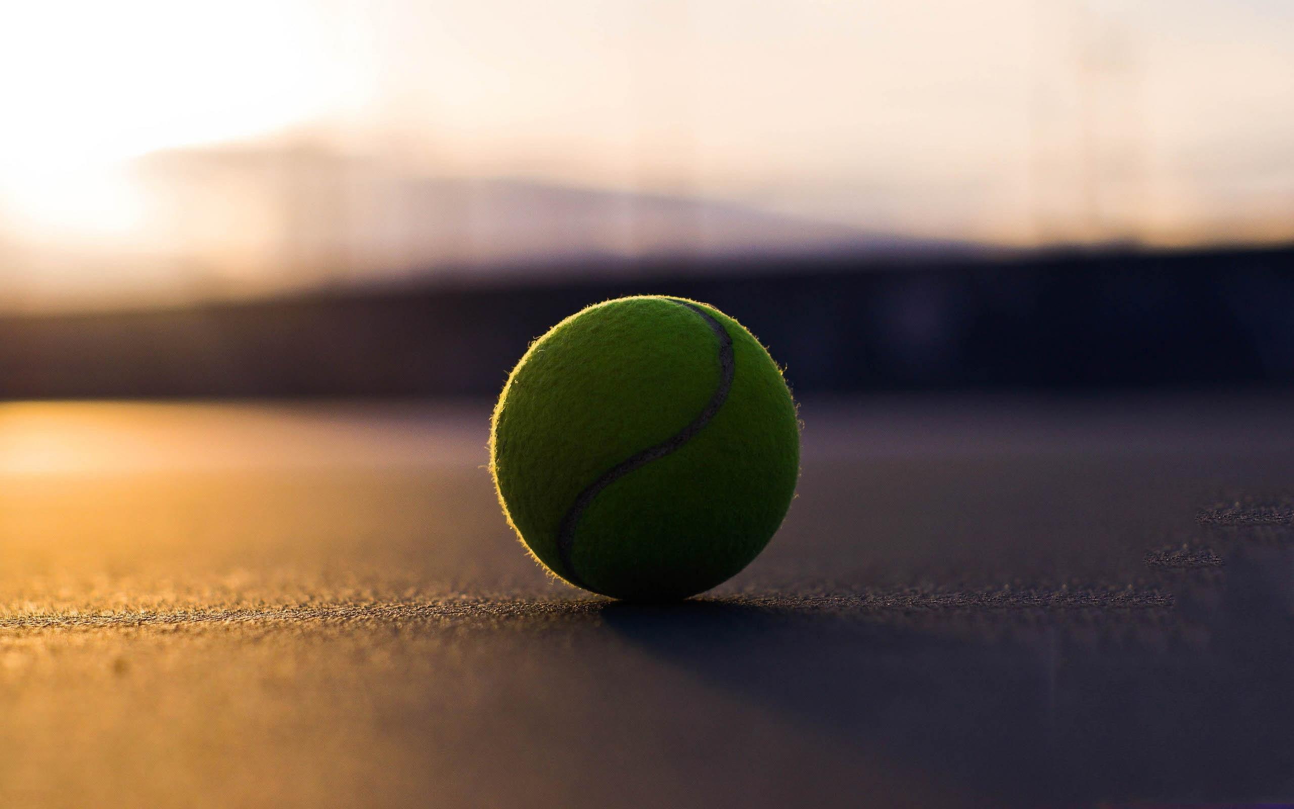 2K, ball, tennis, sports, 2560x1600, HD Wallpaper