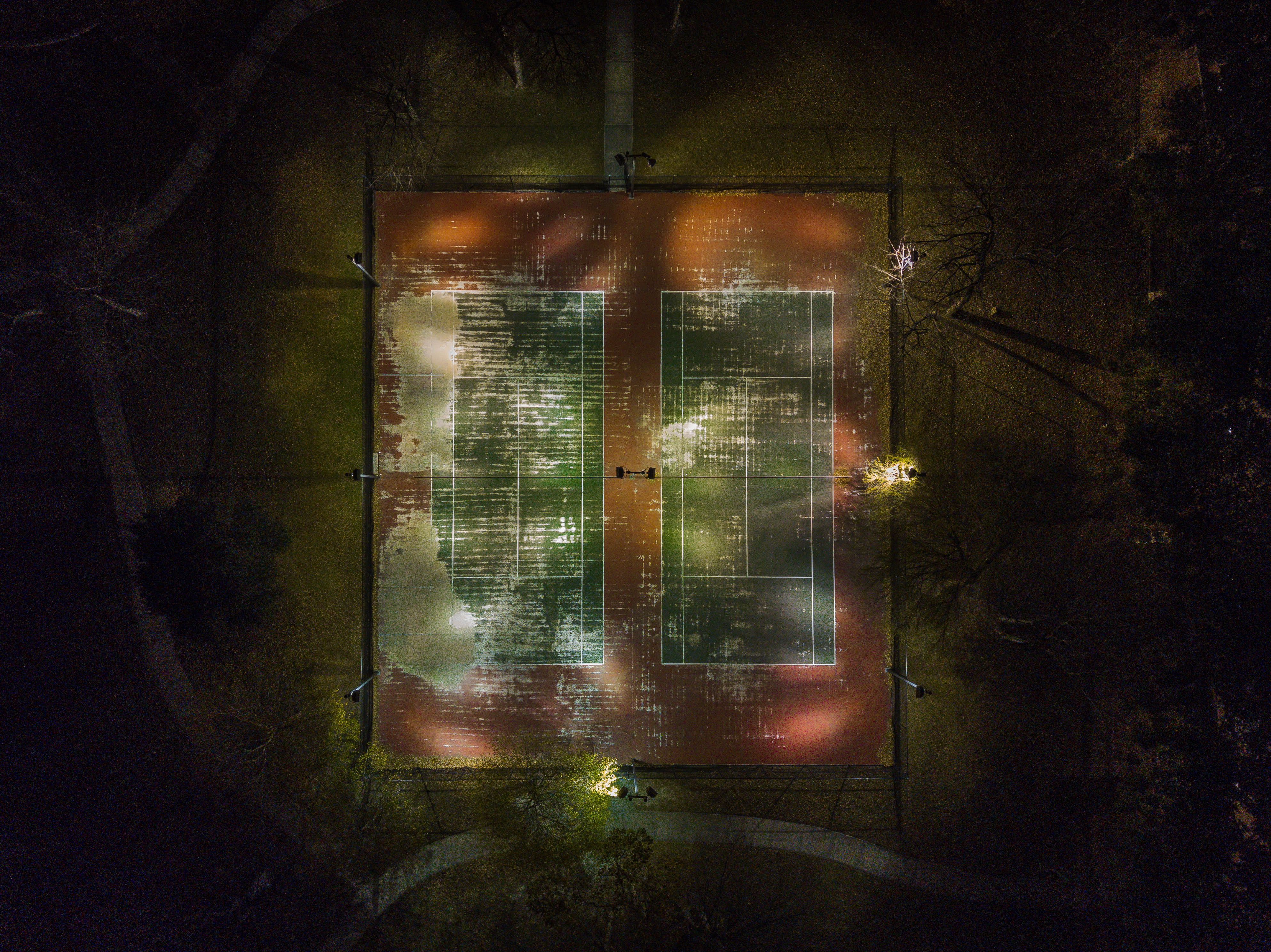 night, window, green color, bird, tennis, view, tennis court, wall, wall - building feature, 4K, plant, built structure, abandoned, indoors, badminton, HD Wallpaper