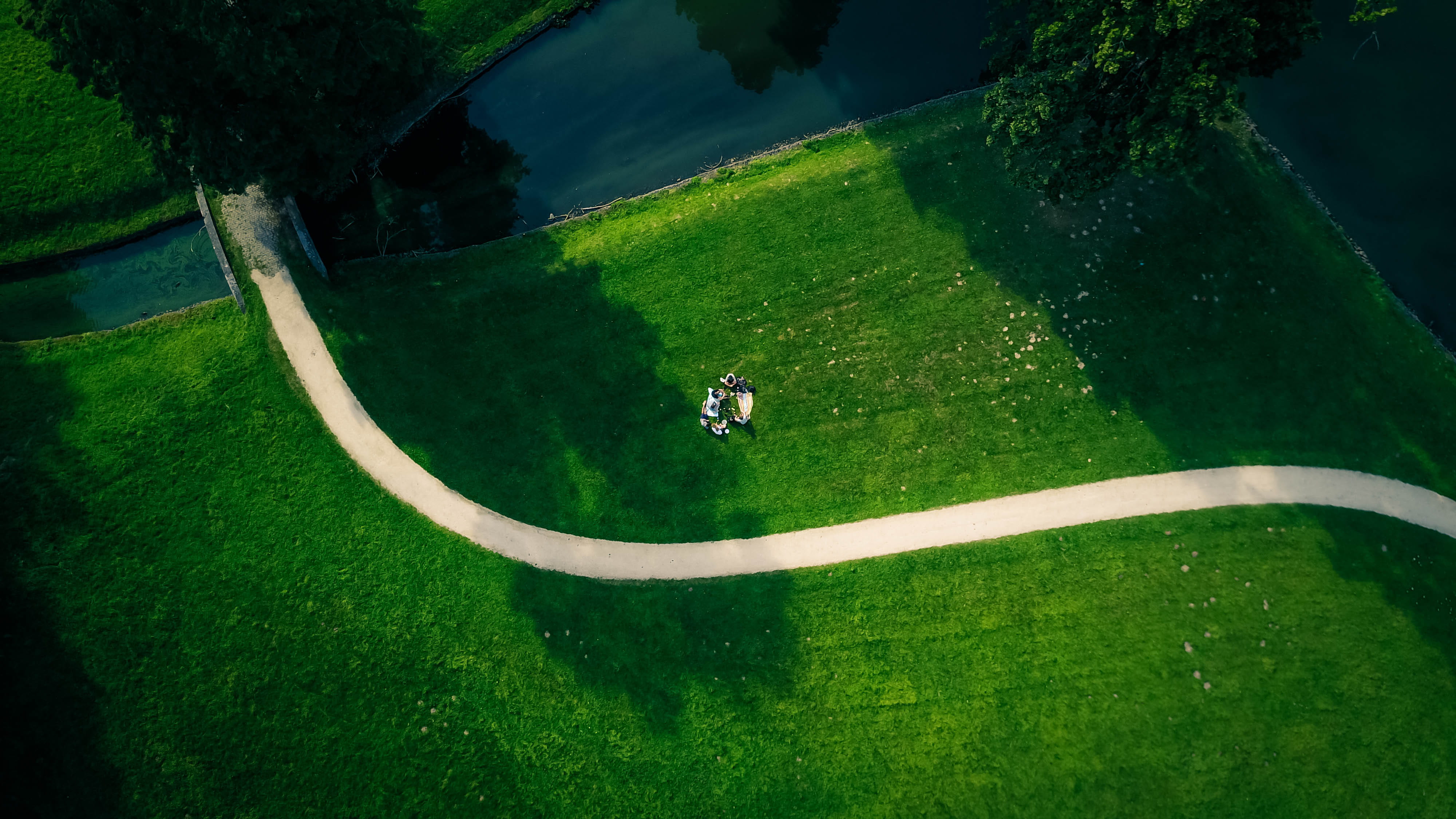 sunlight, tree, green - golf course, power, plant, people, nature, park, beauty in nature, green, path, golf, leisure activity, high angle view, sport, HD Wallpaper