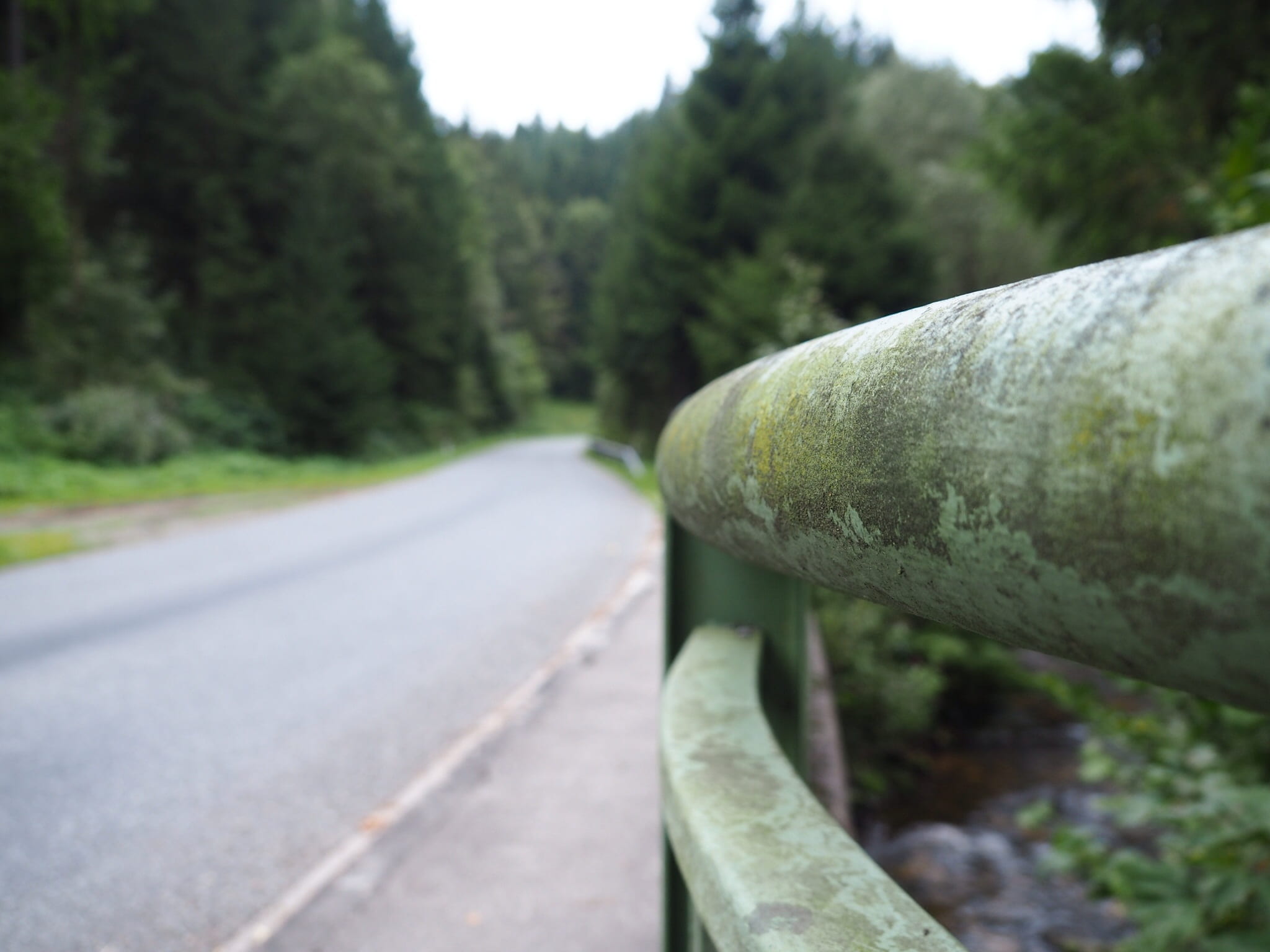 green color, movement, swing, 1080P, day, the way forward, direction, speed, mostviertel, guardrail, plant, focus on foreground, diminishing perspective, HD Wallpaper