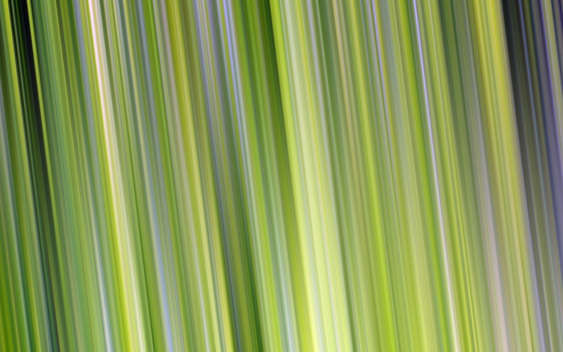 palm tree, growth, color Image, outdoors, vibrant Color, nature, shape, tropical climate, computer Graphic, plant part, design, freshness, decoration, pattern, HD Wallpaper
