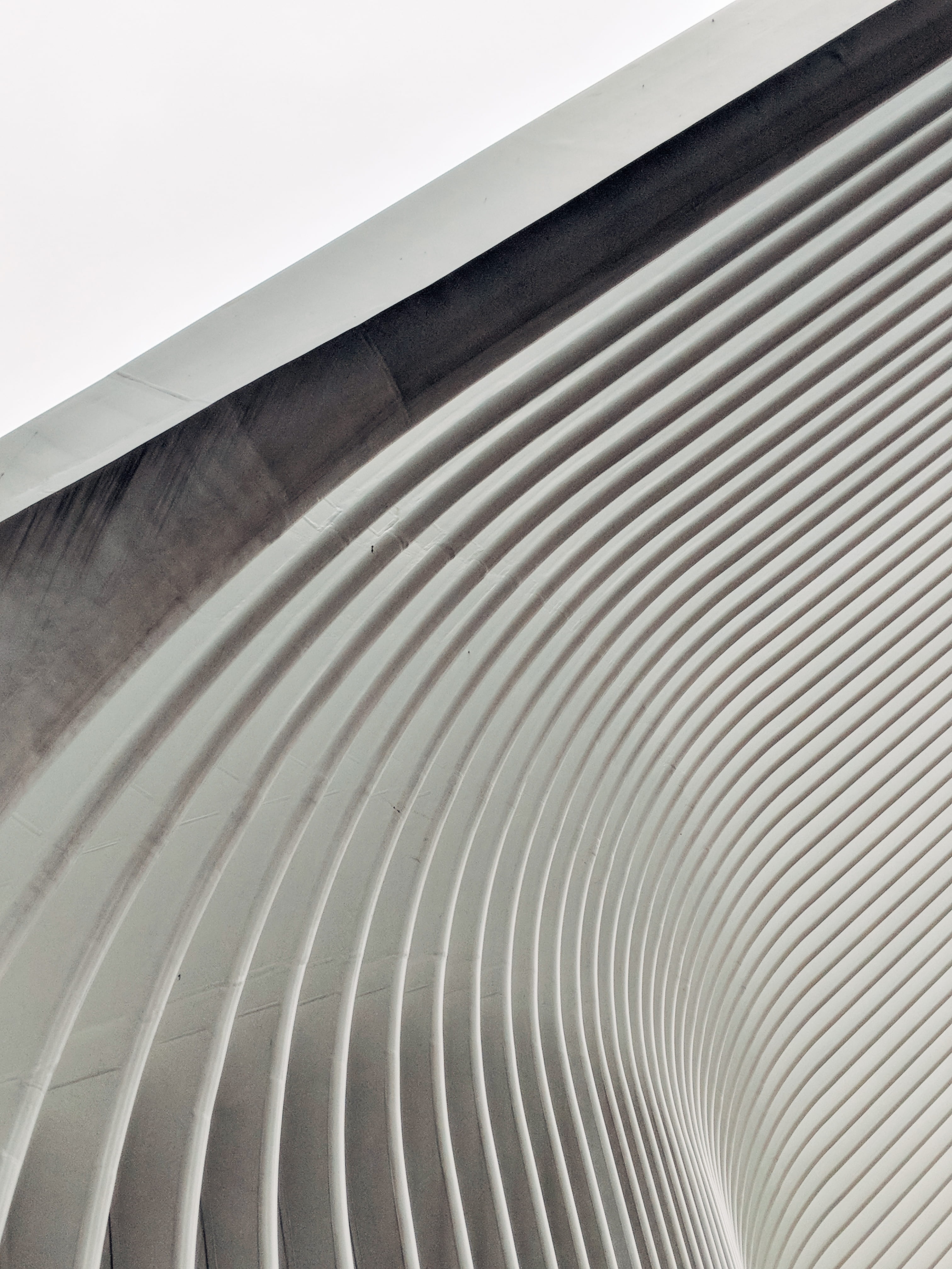 repetitive, worms, architectural column, grid, close-up, building, built structure, pattern, day, low angle view, design, concrete, architecture, black and white, Phone HD Wallpaper
