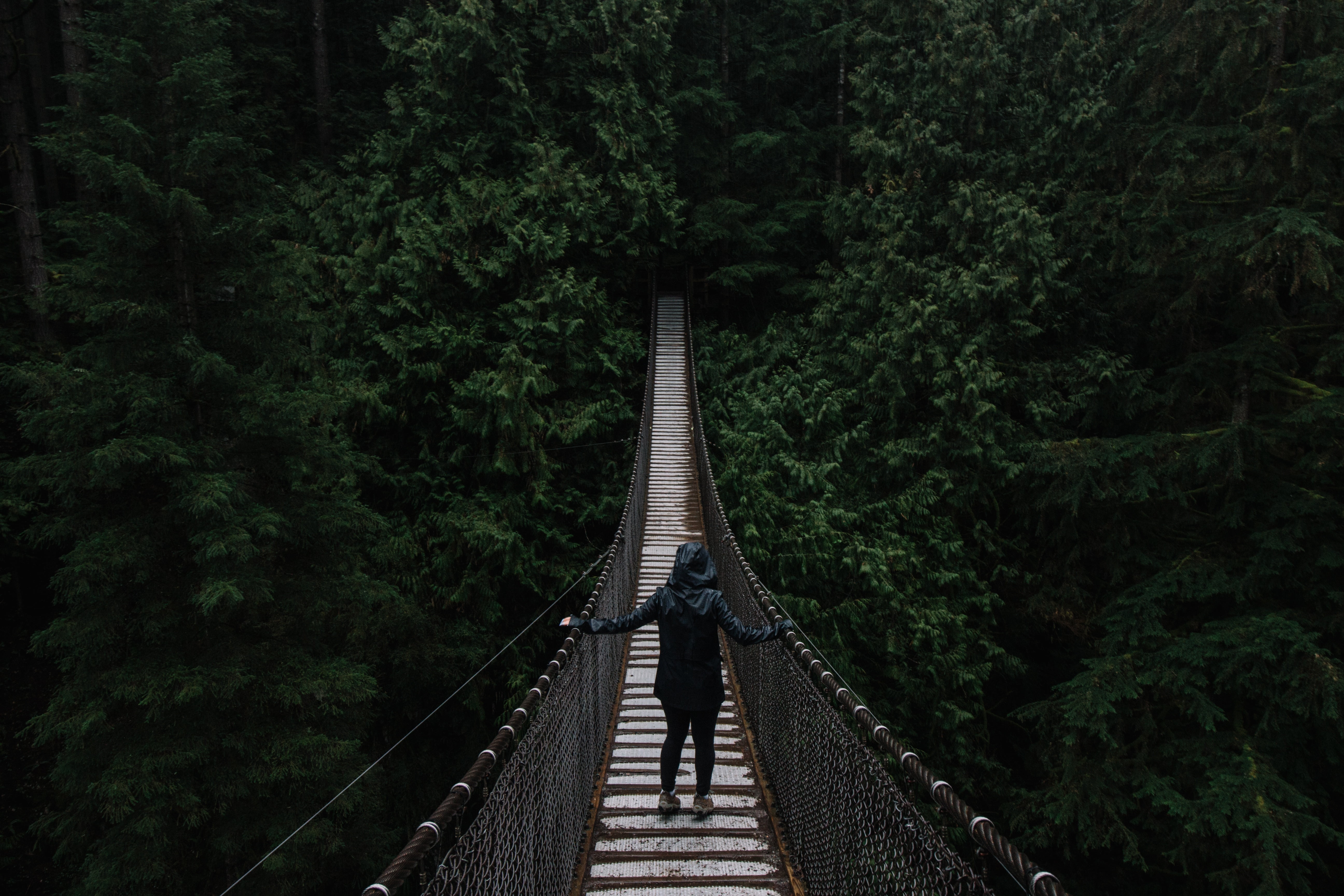 diminishing perspective, forest, full length, loneliness, lifestyles, outdoors, 5K, hanging, suspension Bridge, suspended, direction, rear view, tree, HD Wallpaper