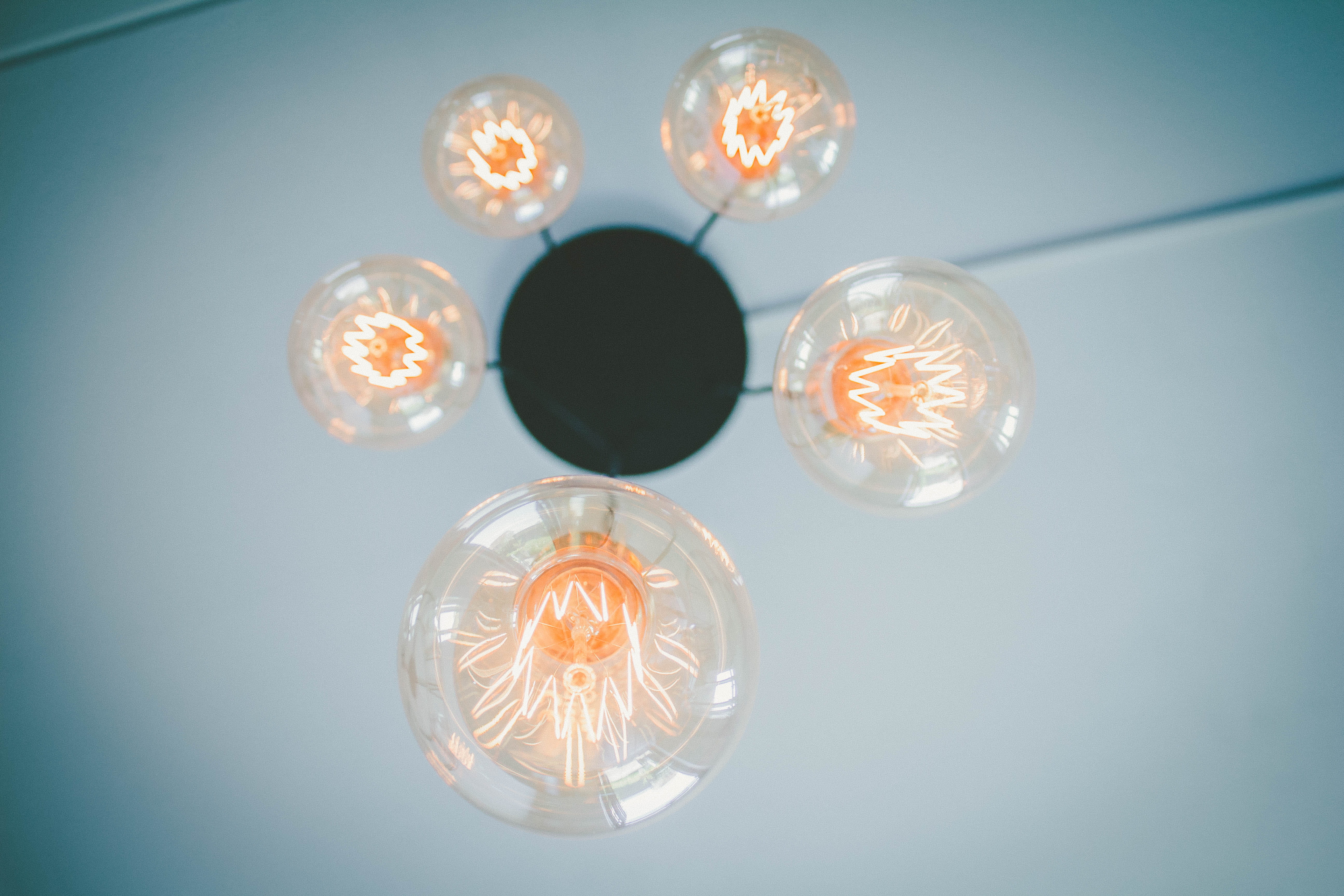 glass - material, animal themes, education, transparent, nature, blue background, kitchen, filament, lamp, lightbulb, geometric shape, close-up, group of objects, HD Wallpaper