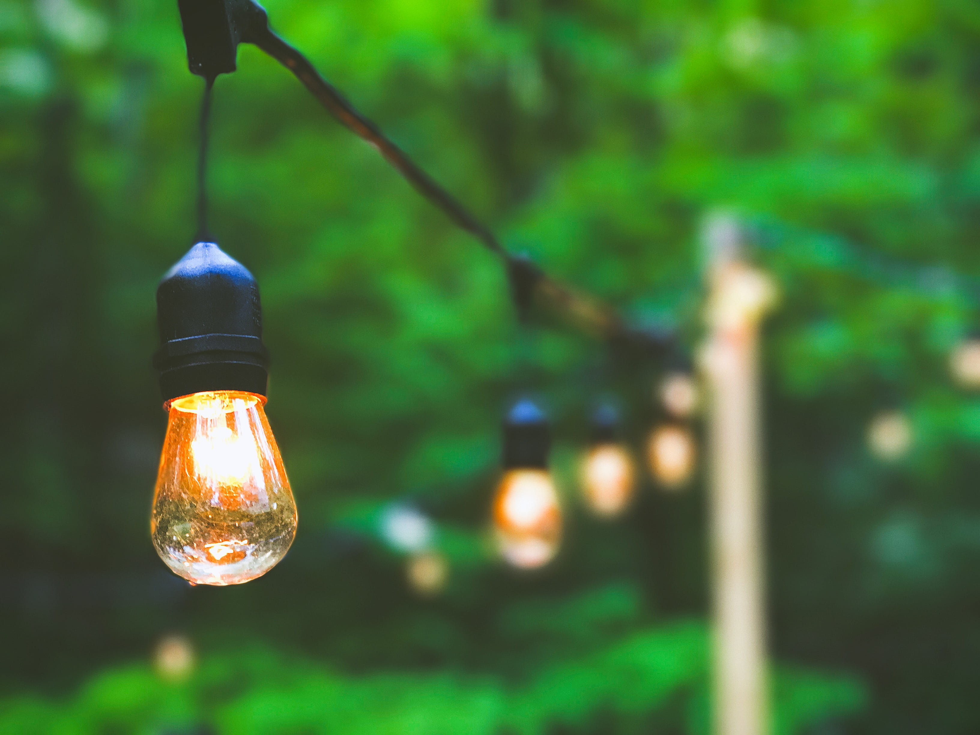 lED, lantern, black string, single object, close-up, electricity, yellow, daytime, pendant, tree, electric Lamp, glowing, light Bulb, shallow, 2K, electrical equipment, HD Wallpaper