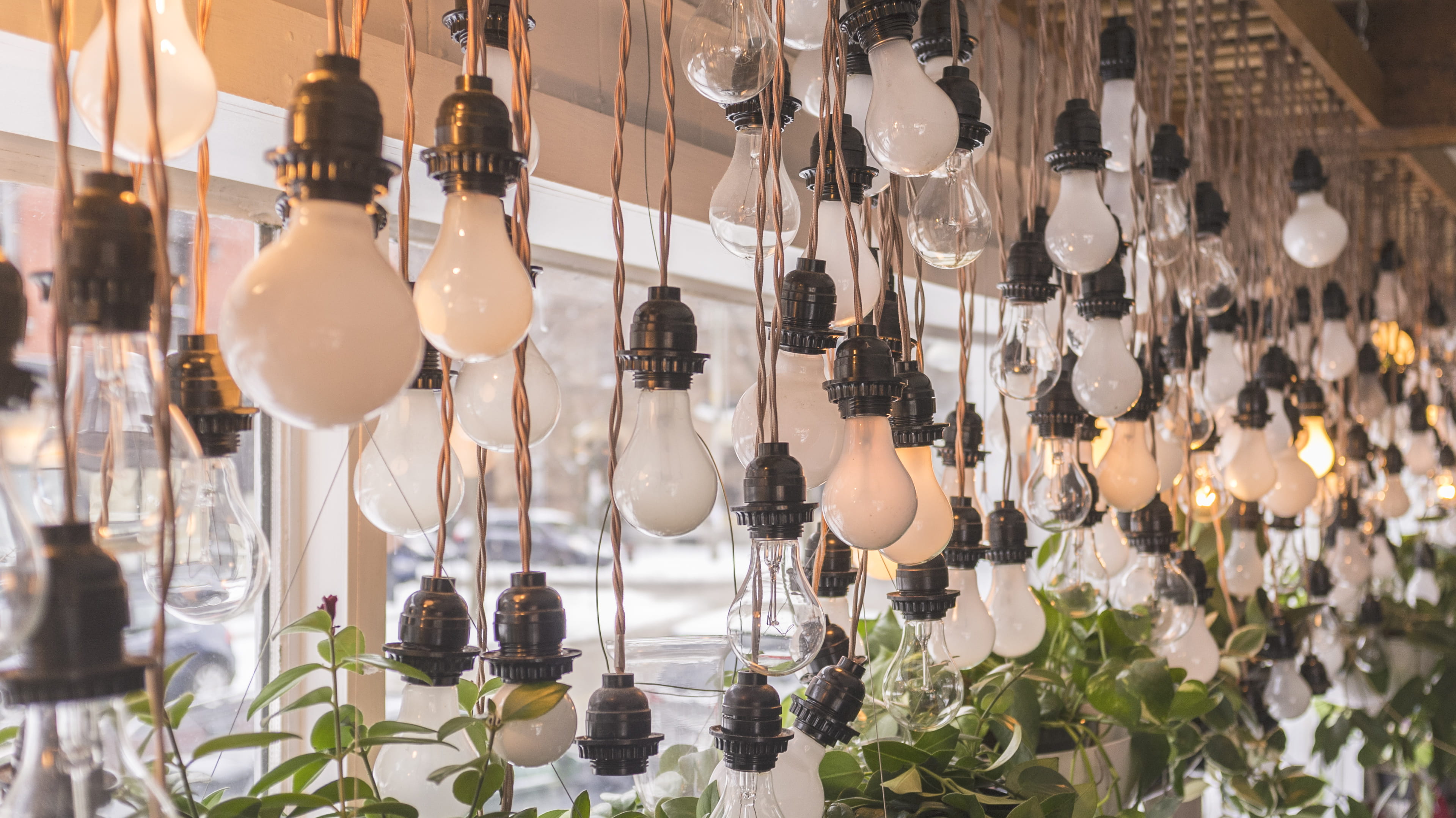 side by side, beverage, window, electric lamp, cfl, glass, beer, hanging, light fixture, bulbs, light bulb, retail display, food and drink, arrangement, HD Wallpaper
