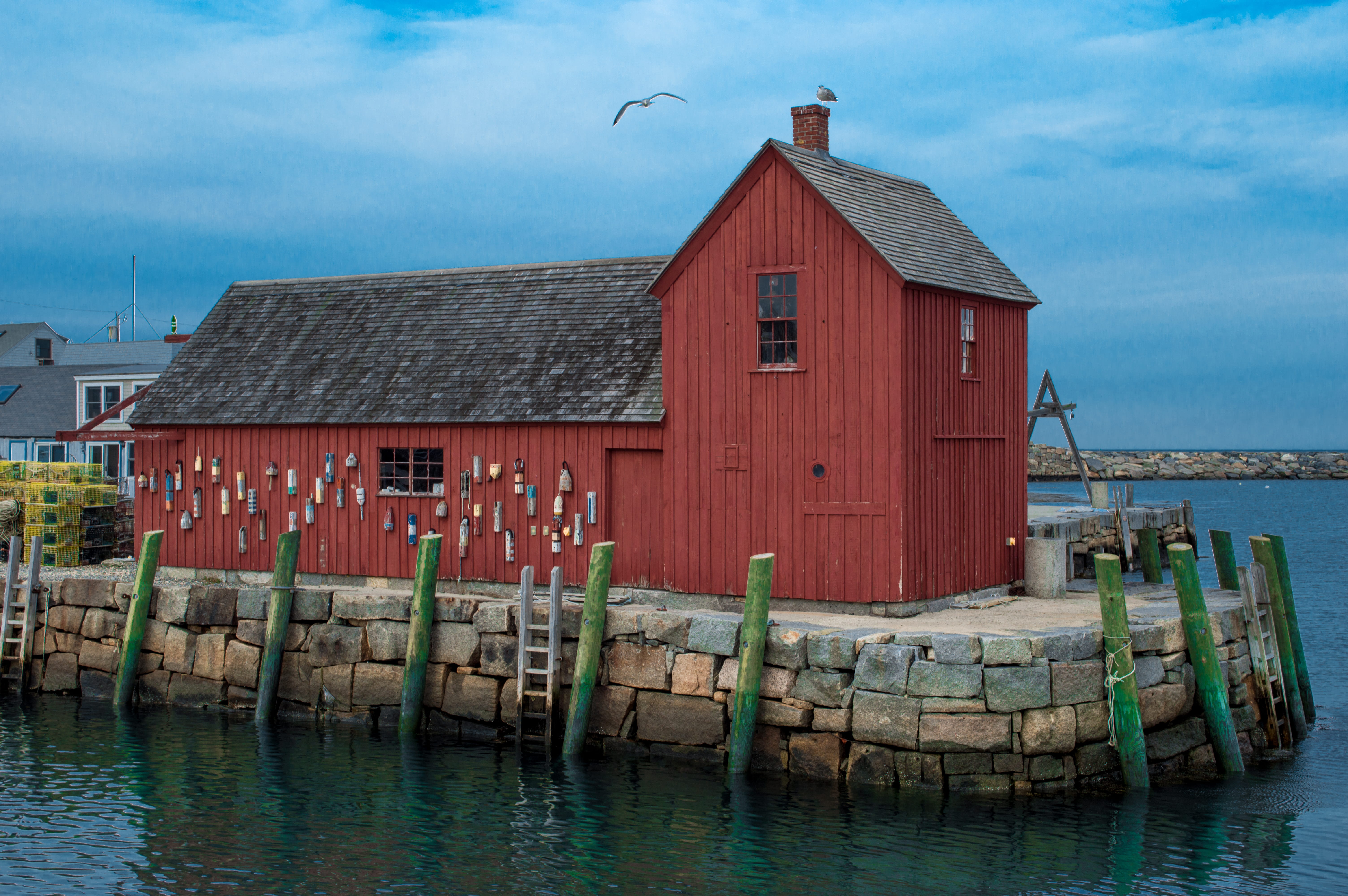 cloud - sky, ocean, water, building, built structure, day, seagull, residential district, animal themes, rockport harbor, outdoors, vertebrate, seaside, HD Wallpaper