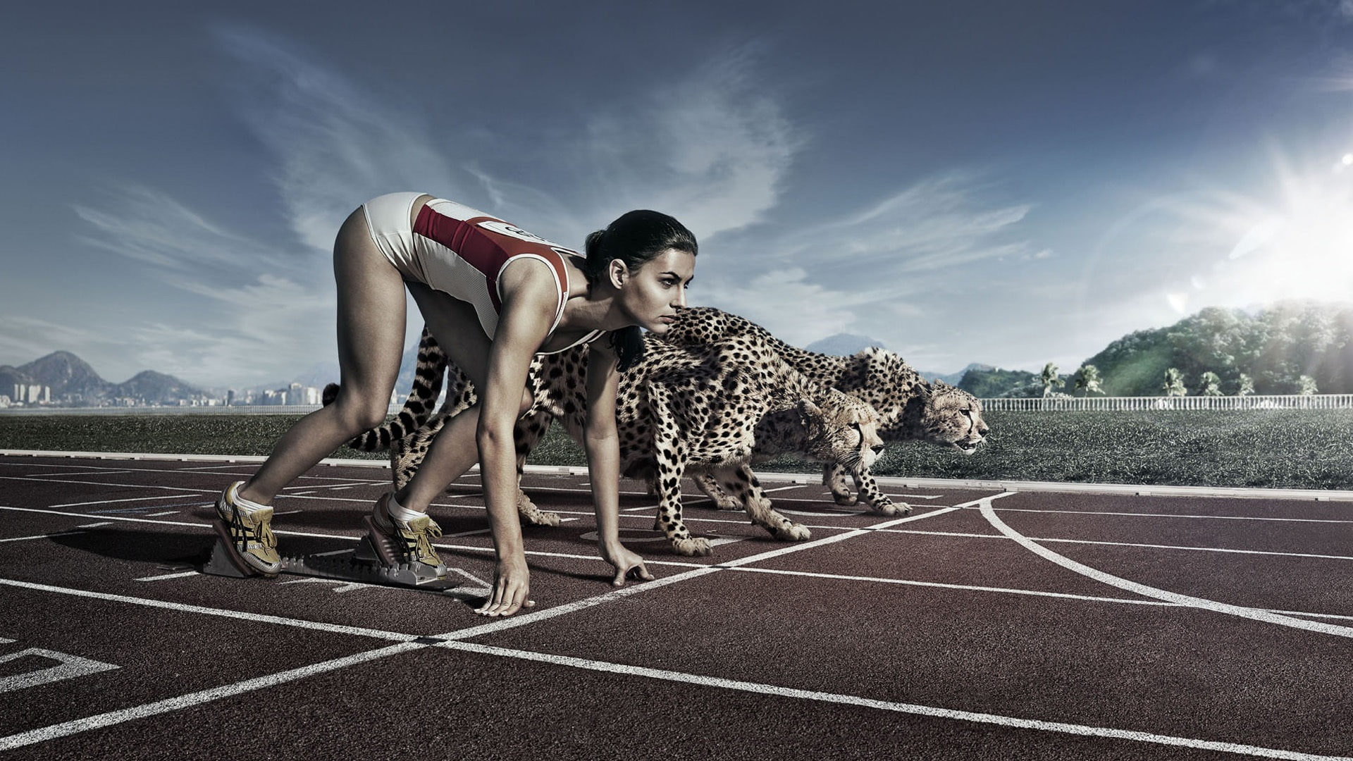 pictures, Creative, Cheetah, Picture, Athletes, 1080P, Race, HD Wallpaper