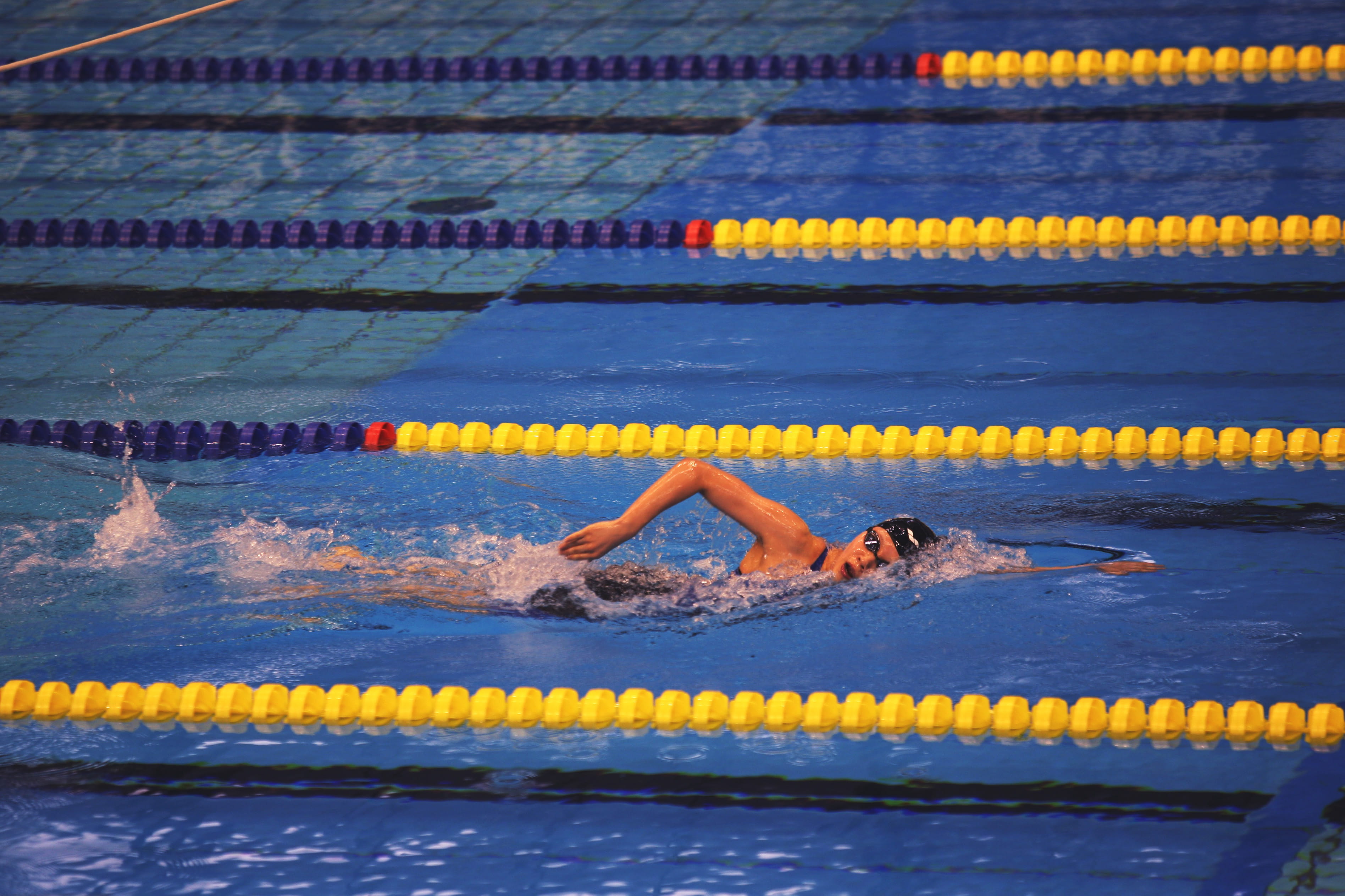 competitive sport, sports race, swimming, athlete, swimming pool, sport, aquatic sport, full length, competition, 2K, sportVarious, determination, motion, HD Wallpaper