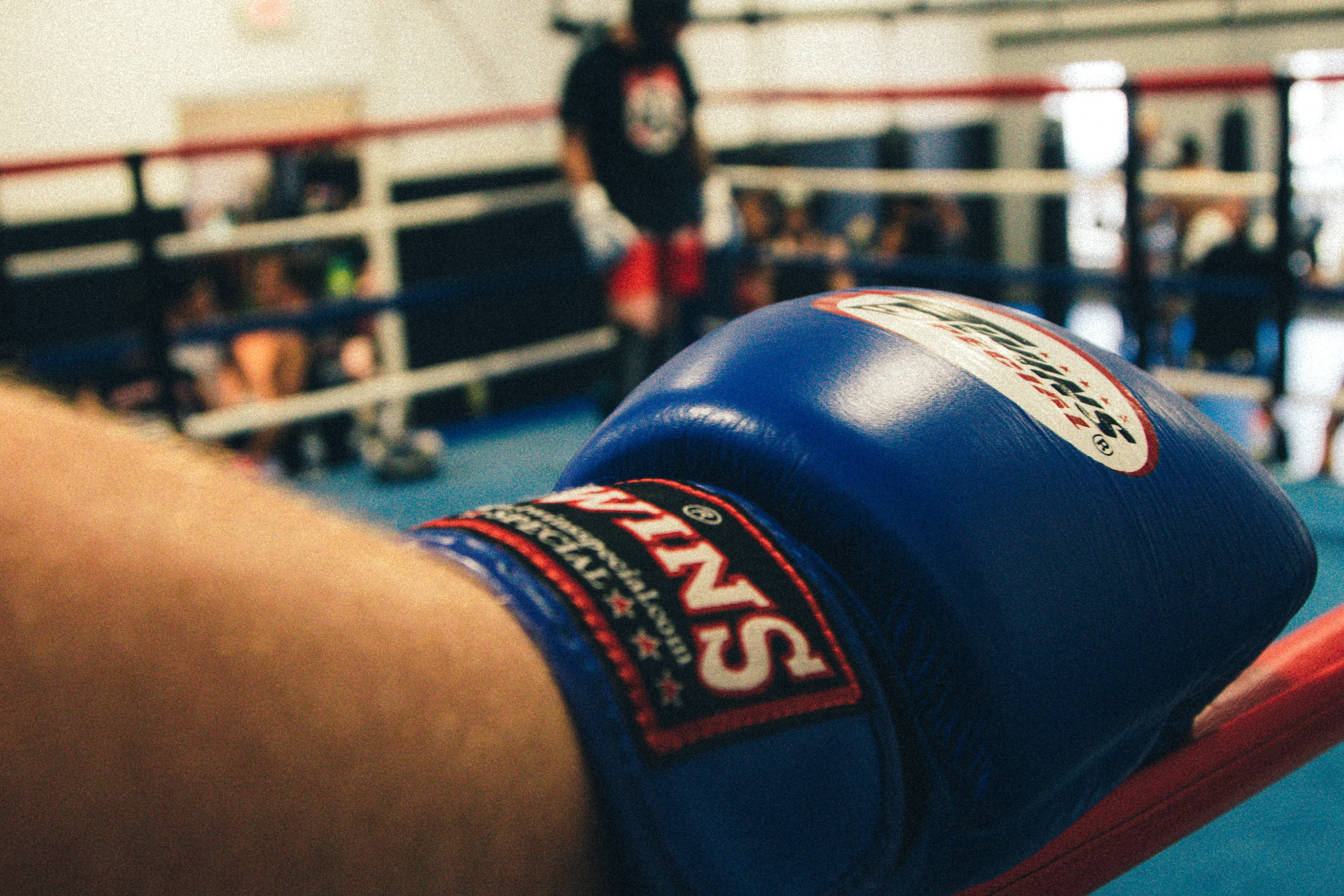 fight, lifestyles, real people, focus on foreground, text, close-up, exercising, sportVarious, sport, body part, gym, strength, athlete, human body part, HD Wallpaper