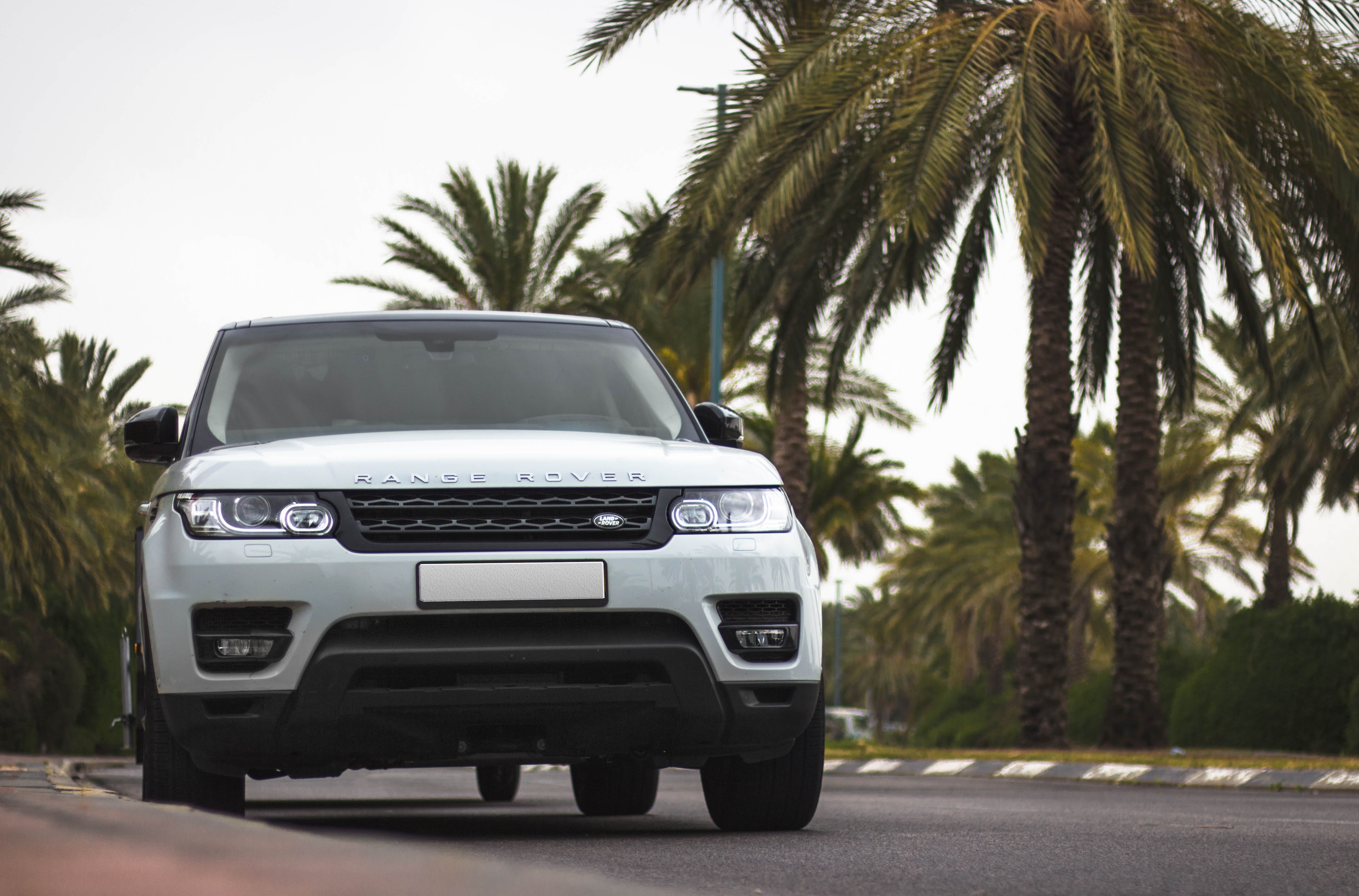 4x4, wheel, range, vacation, car, range rover, summer, happy, spring break, land, palm tree, transport, tropical climate, plant, 4, speed, motion, travel, HD Wallpaper