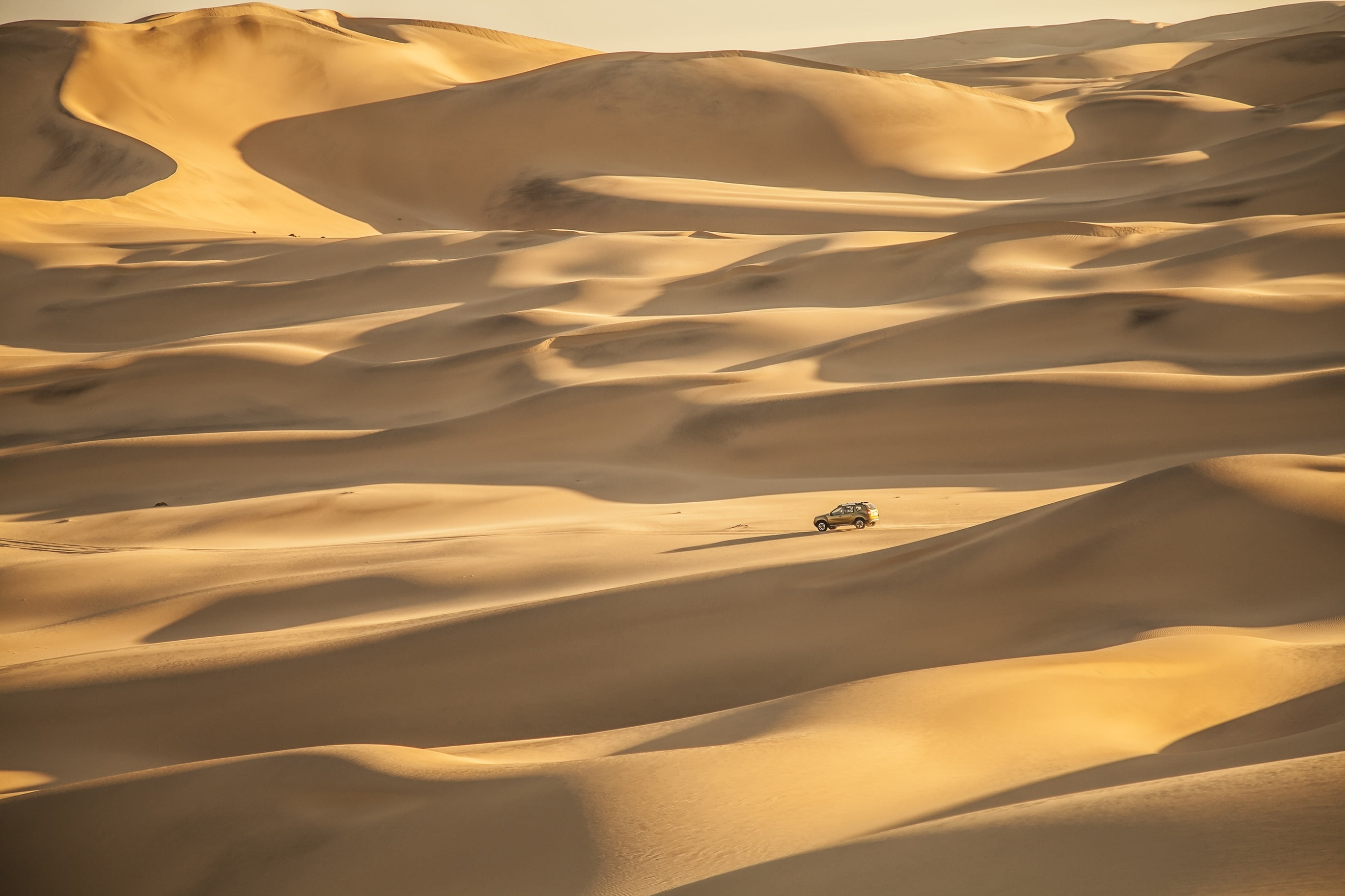 scenics, arid climate, sand, driving, tourism, gold colored, travel, nature, tranquility, backgrounds, namib desert, car, africa, sunset, travel destinations, HD Wallpaper