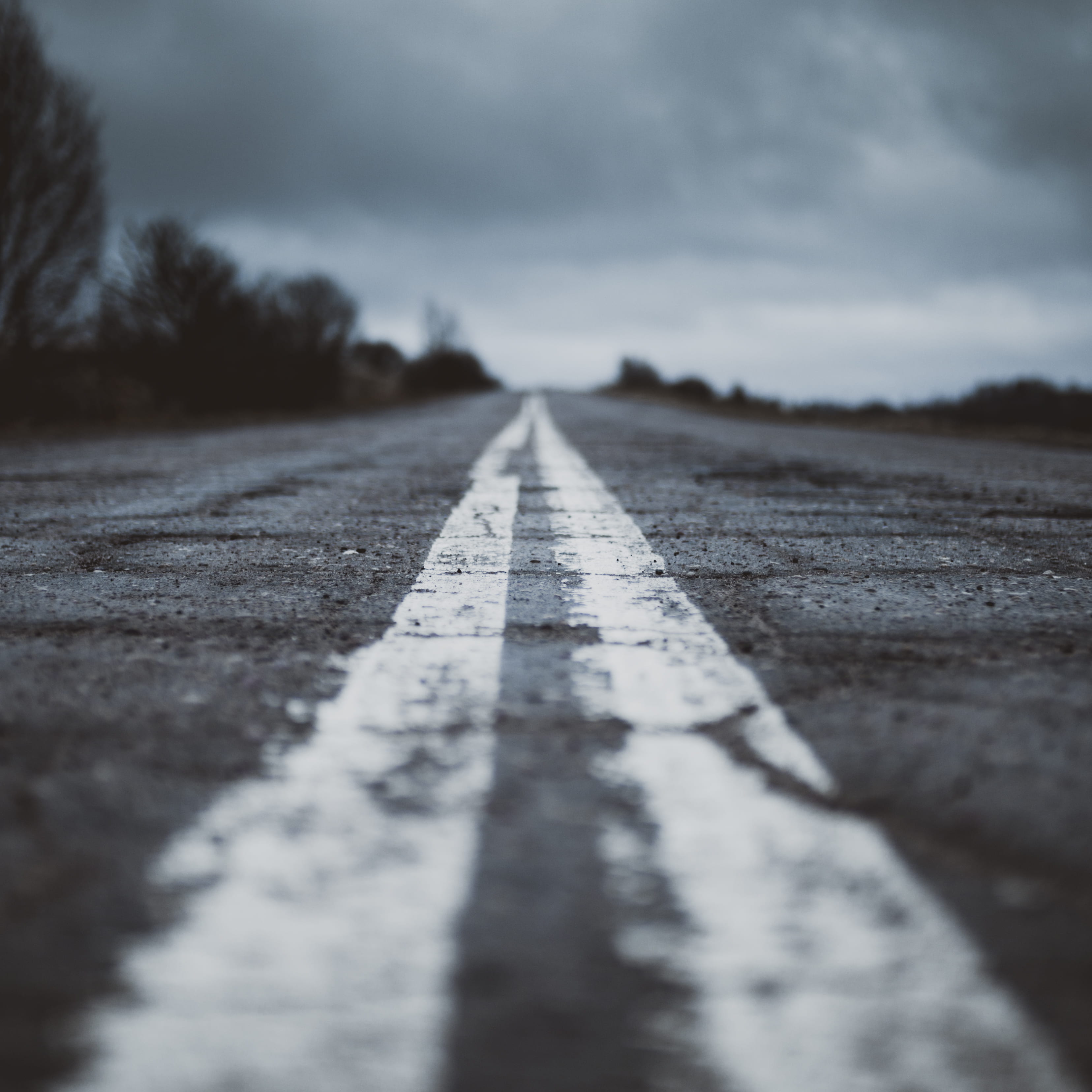 day, surface level, direction, selective focus, nature, paint line, vanishing point, outdoors, diminishing perspective, marking, sign, gray, line, no people, Phone HD Wallpaper