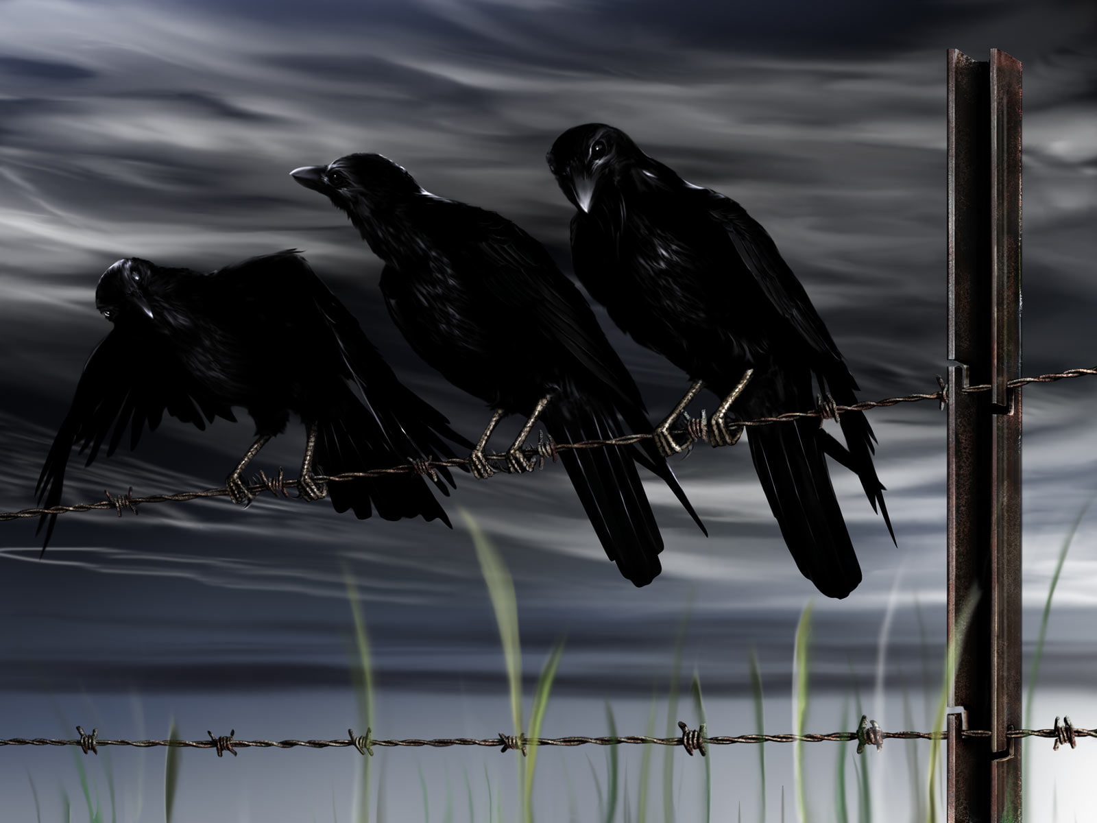 crow, 720P, bird, barb, hd, wire, digital/artwork, HD Wallpaper